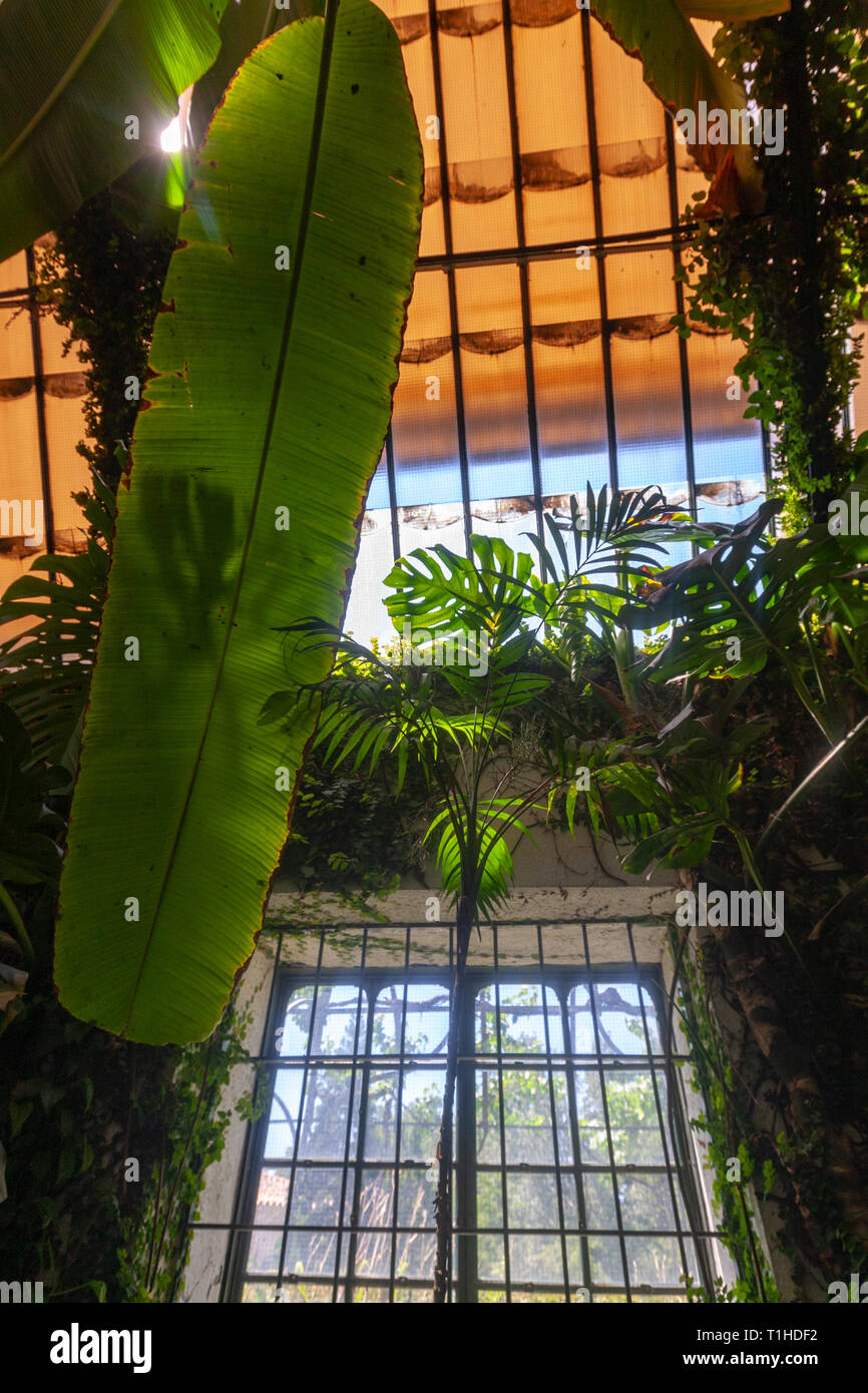 Serre en véritable jardin botanique, Jardin botanique royal de Madrid