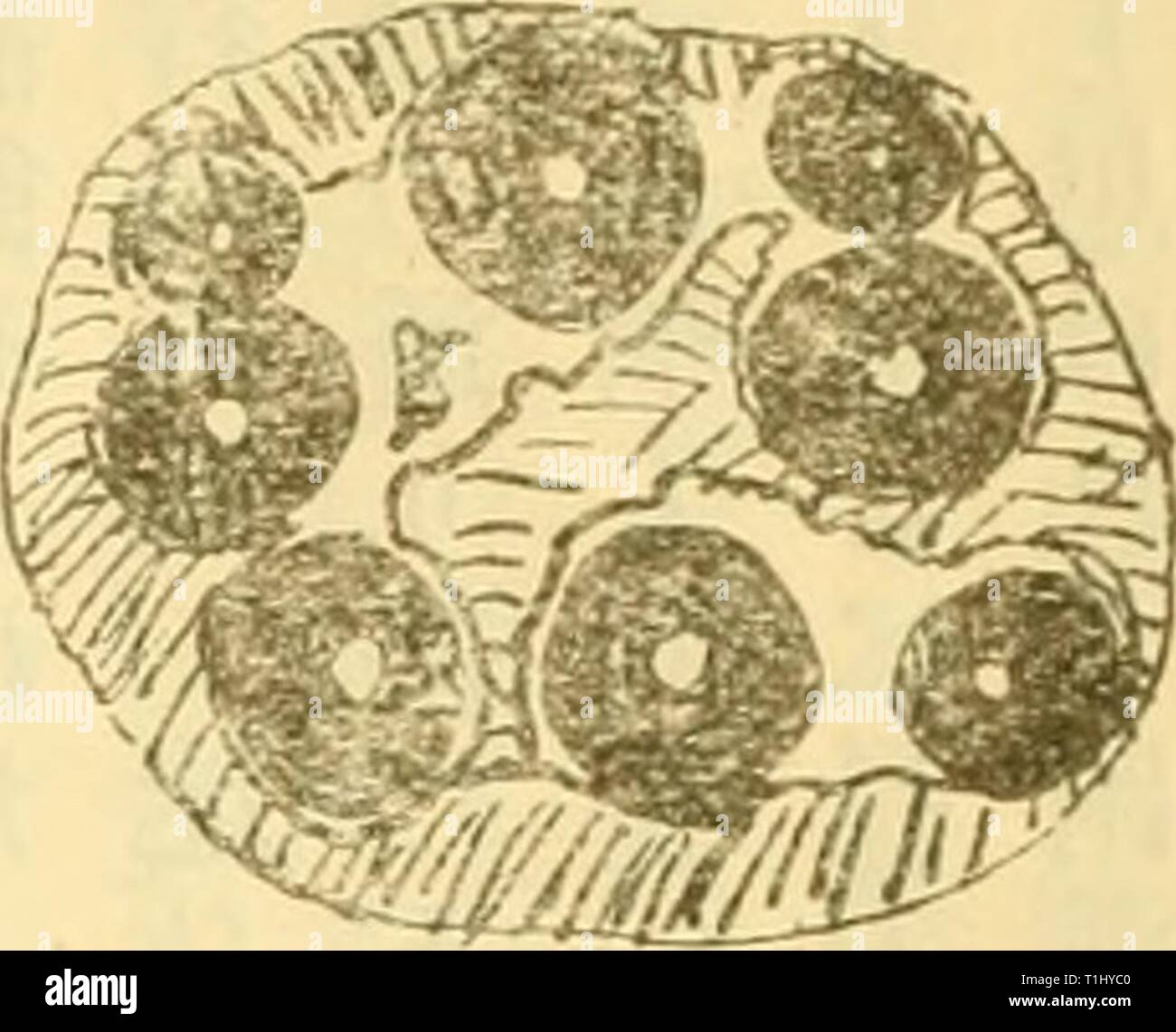 550 Ac Banque D Image Et Photos Alamy