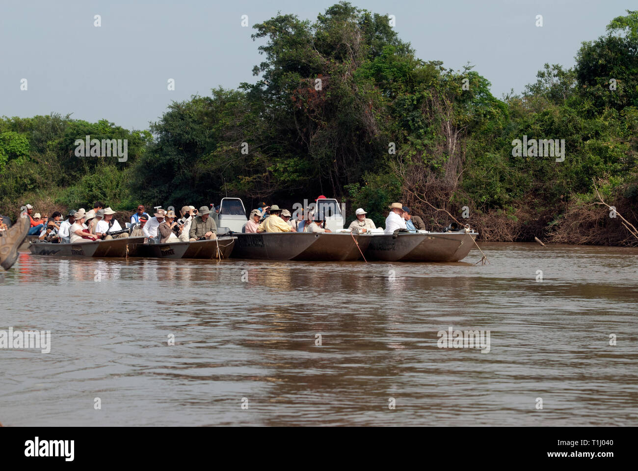 Des photographes en bateaux en attente d'une Jaguar pour service dans le Pantanal au Brésil Banque D'Images