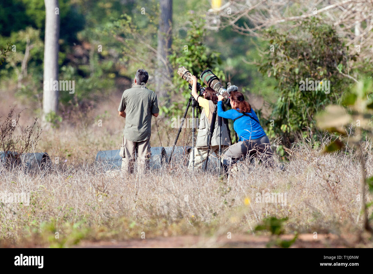 Photographes photographier un oiseau dans le Pantanal au Brésil Banque D'Images