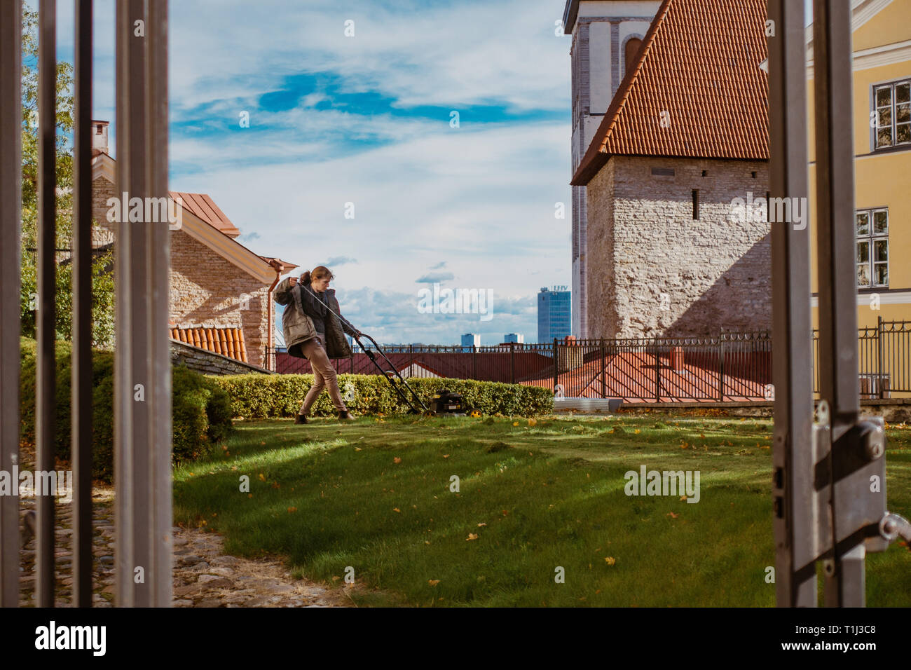 Une femme tond une pelouse avec une tondeuse rotative à Tallinn, Estonie Banque D'Images Une femme tond une pelouse avec une tondeuse rotative à Tallinn, Estonie Banque D'Images