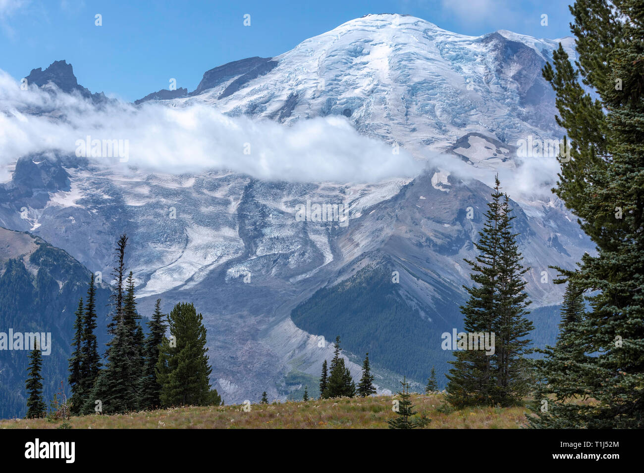 Le Mont Rainier, Washington Banque D'Images