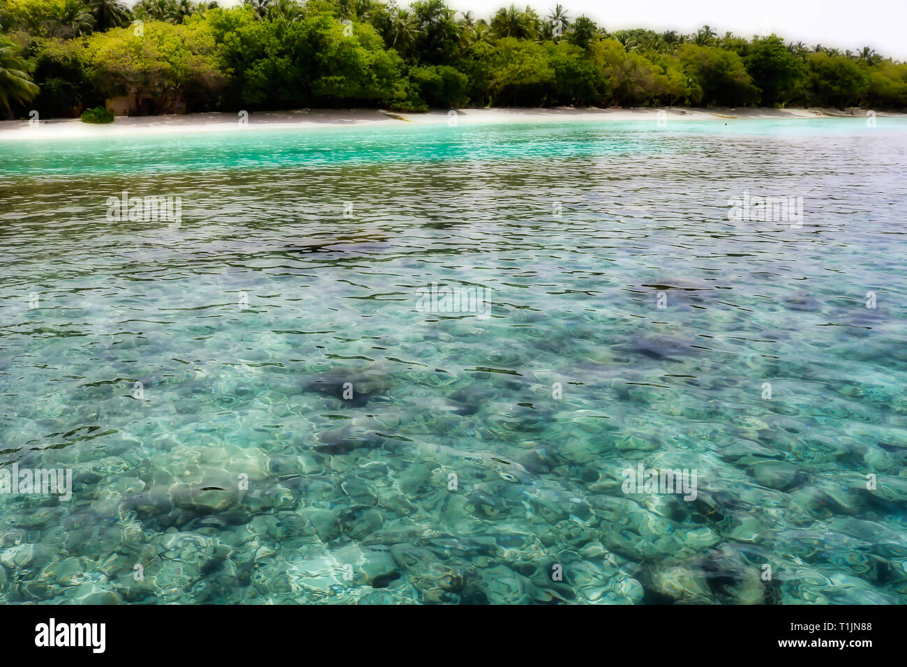 Cette image montre les récifs à l'eau claire en face d'une île dans les Maldives Banque D'Images
