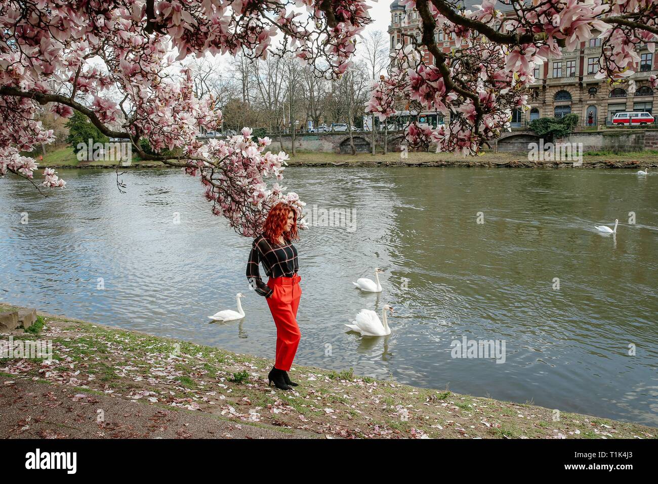 Paris, France. Mar 26, 2019. Une femme pose pour des photos en face de fleurs magnolia florissante à Strasbourg, France, le 26 mars 2019. Credit : Zhang Cheng/Xinhua/Alamy Live News Banque D'Images