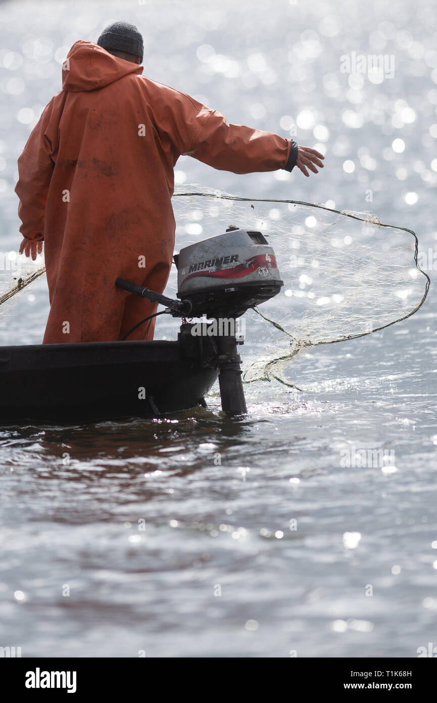 27 mars 2019, la Saxe-Anhalt, Magdeburg : le pêcheur Gernot Quaschny lance son filet sur le lac Barleber. La pêche au grand corégone stock avait été commandé par la capitale de l'état en raison de l'imminence de la lutte contre les algues bleu-vert. Les animaux pêchés seront remis au Club de pêche de Magdebourg, qui va libérer le poisson dans d'autres lacs. Les poissons prédateurs sont d'être libéré de nouveau après la restauration de l'eau. Photo : Klaus-Dietmar Gabbert/dpa-Zentralbild/ZB Banque D'Images