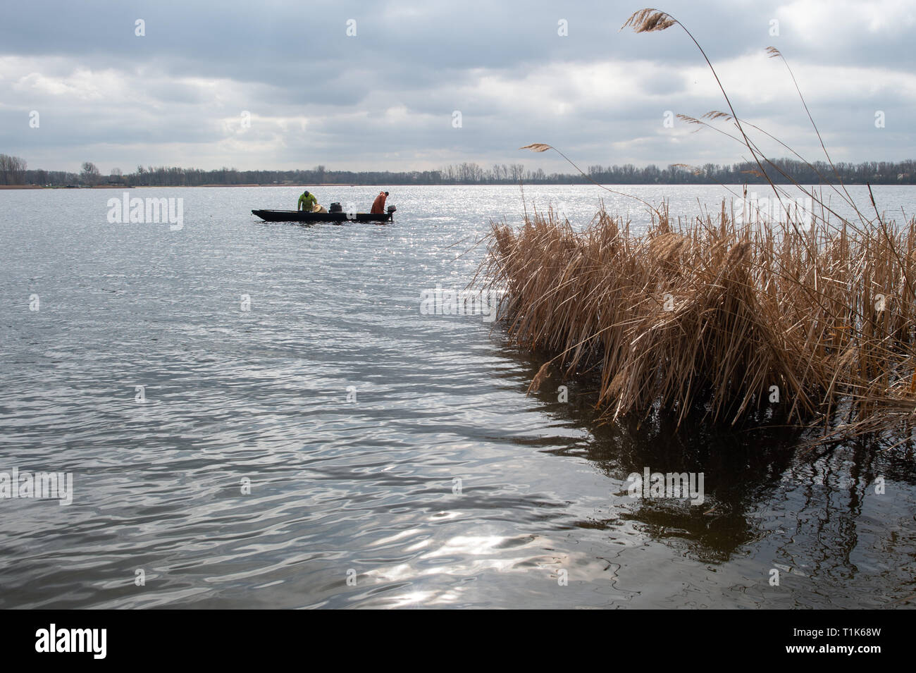 27 mars 2019, la Saxe-Anhalt, Magdeburg : Pêcheurs jeter leurs filets sur le lac Barleber. La pêche au grand corégone stock avait été commandé par la capitale de l'état en raison de l'imminence de la lutte contre les algues bleu-vert. Les animaux pêchés seront remis au Club de pêche de Magdebourg, qui va libérer le poisson dans d'autres lacs. Les poissons prédateurs sont d'être libéré de nouveau après la restauration de l'eau. Photo : Klaus-Dietmar Gabbert/dpa-Zentralbild/ZB Banque D'Images