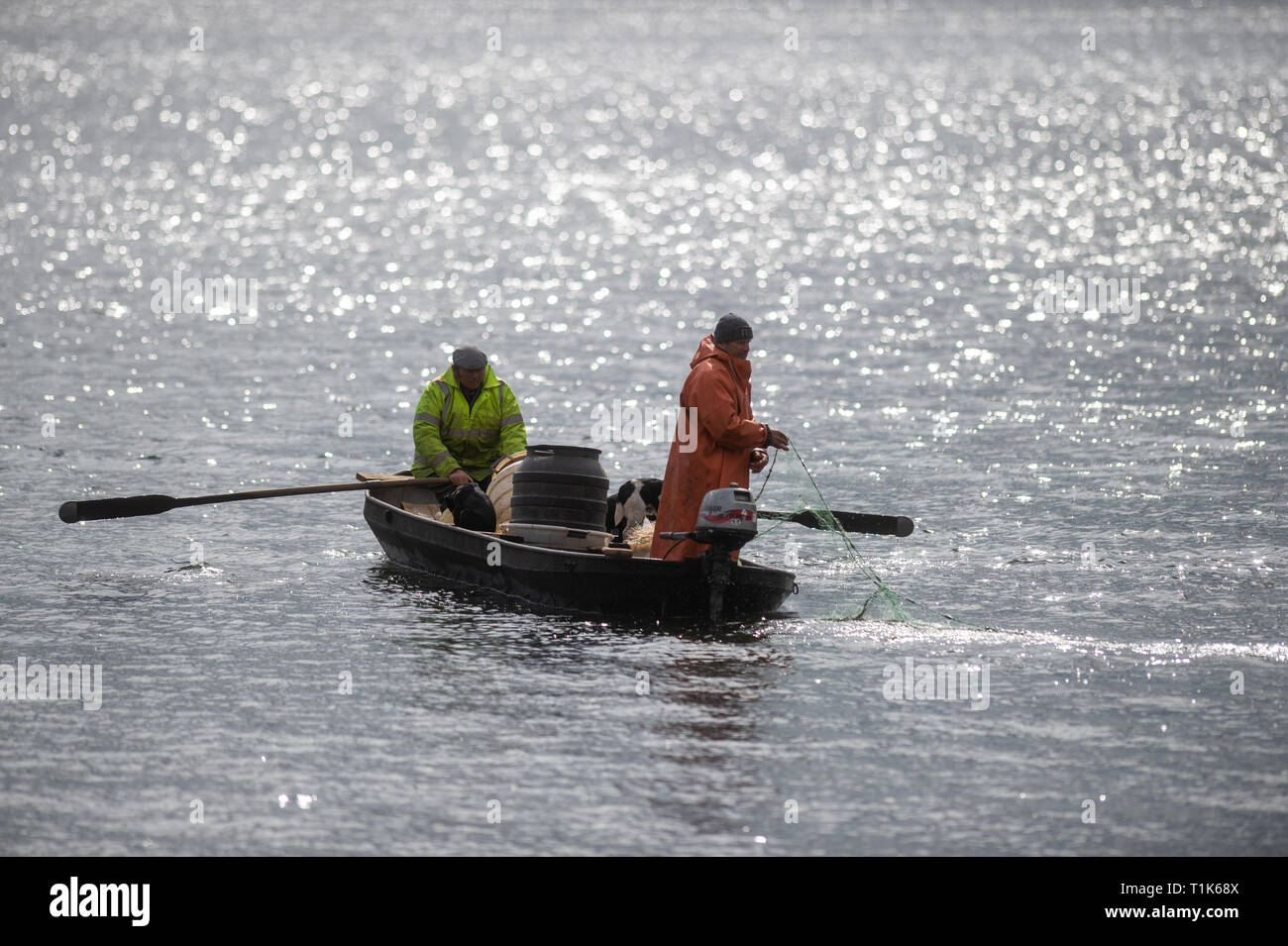 27 mars 2019, la Saxe-Anhalt, Magdeburg : le pêcheur Gernot Quaschny (r) lance son filet sur le lac Barleber. La pêche au grand corégone stock avait été commandé par la capitale de l'état en raison de l'imminence de la lutte contre les algues bleu-vert. Les animaux pêchés seront remis au Club de pêche de Magdebourg, qui va libérer le poisson dans d'autres lacs. Les poissons prédateurs sont d'être libéré de nouveau après la restauration de l'eau. Photo : Klaus-Dietmar Gabbert/dpa-Zentralbild/ZB Banque D'Images