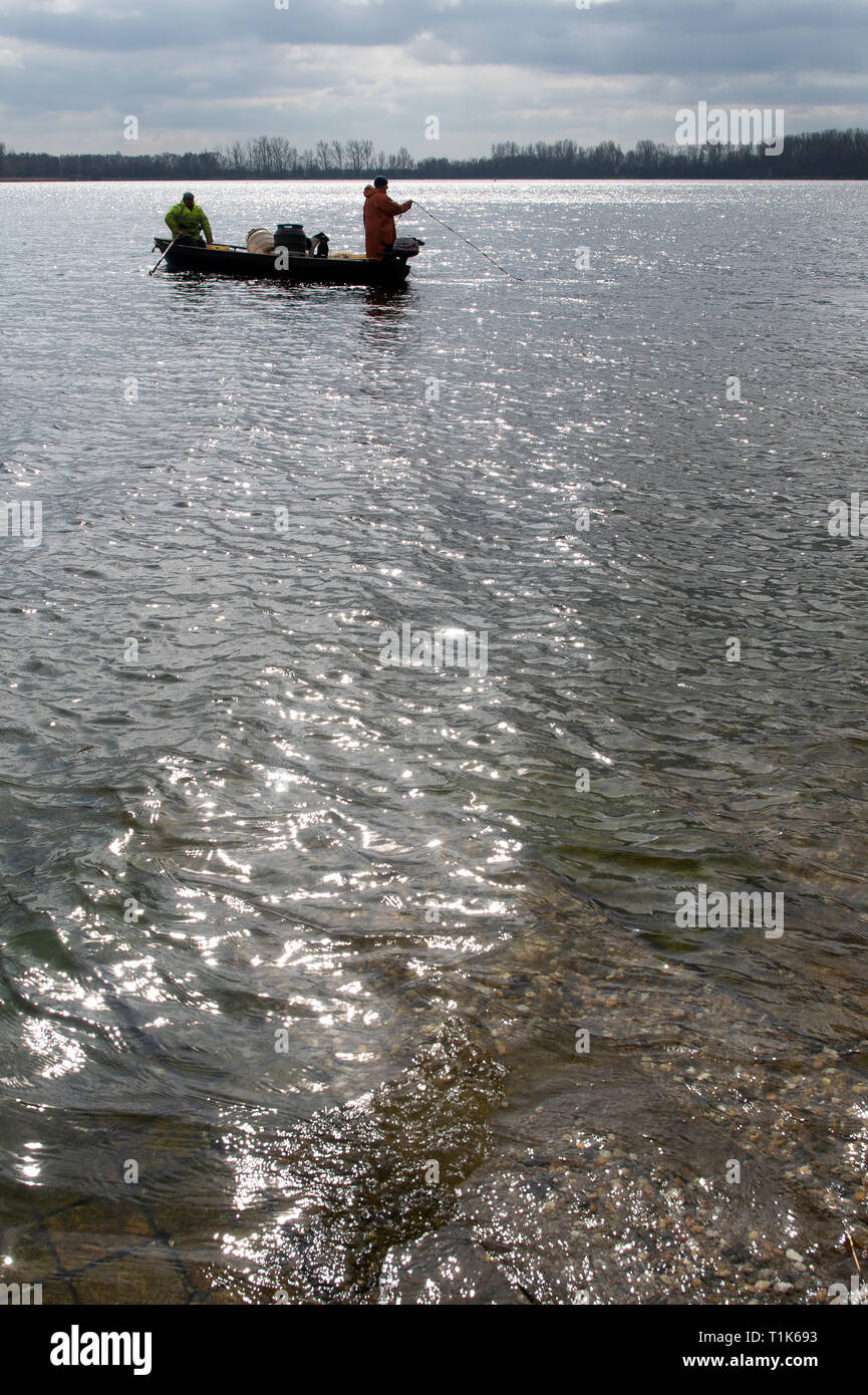 27 mars 2019, la Saxe-Anhalt, Magdeburg : Pêcheurs jeter leurs filets sur le lac Barleber. La pêche au grand corégone stock avait été commandé par la capitale de l'état en raison de l'imminence de la lutte contre les algues bleu-vert. Les animaux pêchés seront remis au Club de pêche de Magdebourg, qui va libérer le poisson dans d'autres lacs. Les poissons prédateurs sont d'être libéré de nouveau après la restauration de l'eau. Photo : Klaus-Dietmar Gabbert/dpa-Zentralbild/ZB Banque D'Images