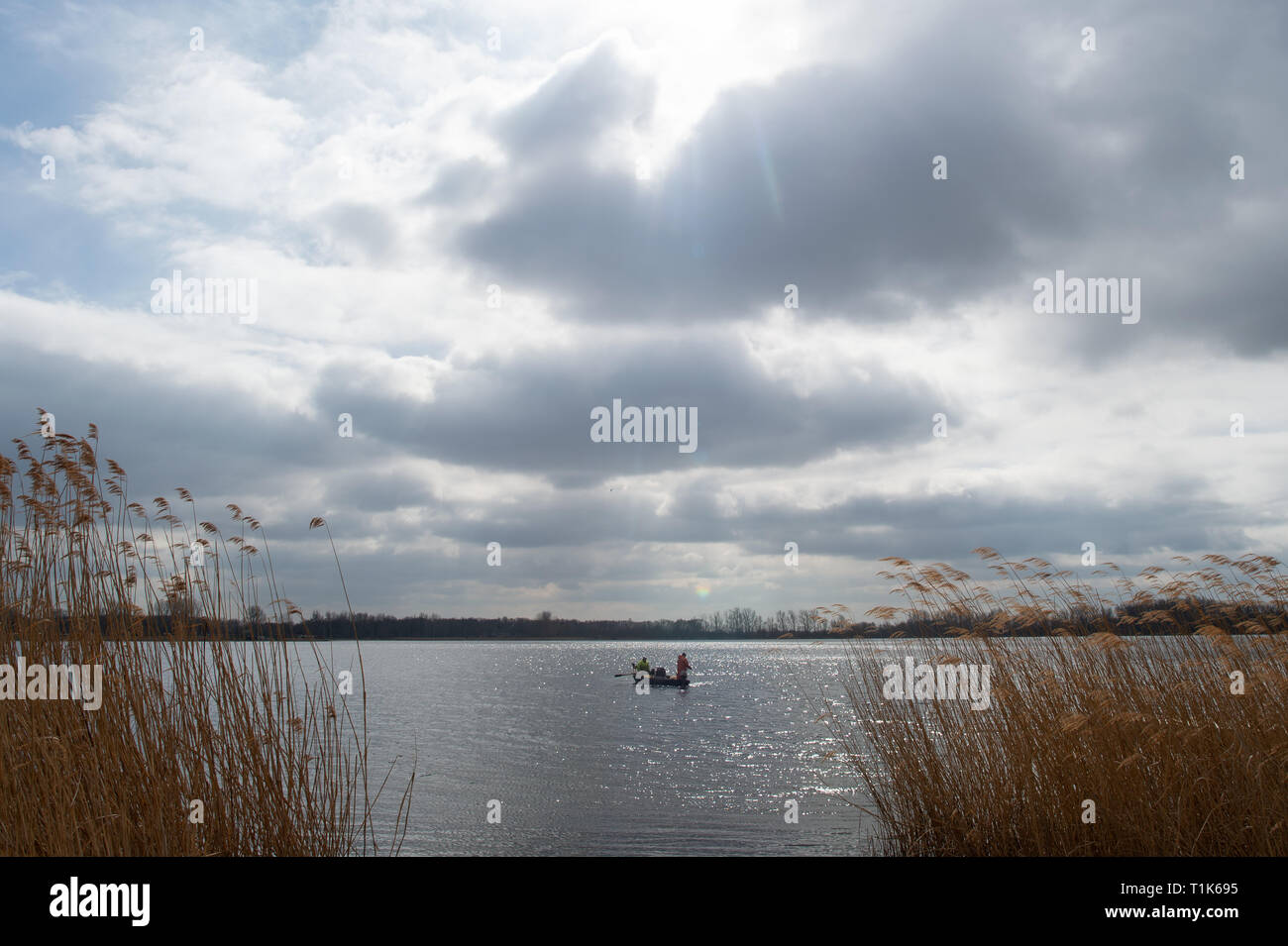 27 mars 2019, la Saxe-Anhalt, Magdeburg : Pêcheurs jeter leurs filets sur le lac Barleber. La pêche au grand corégone stock avait été commandé par la capitale de l'état en raison de l'imminence de la lutte contre les algues bleu-vert. Les animaux pêchés seront remis au Club de pêche de Magdebourg, qui va libérer le poisson dans d'autres lacs. Les poissons prédateurs sont d'être libéré de nouveau après la restauration de l'eau. Photo : Klaus-Dietmar Gabbert/dpa-Zentralbild/ZB Banque D'Images