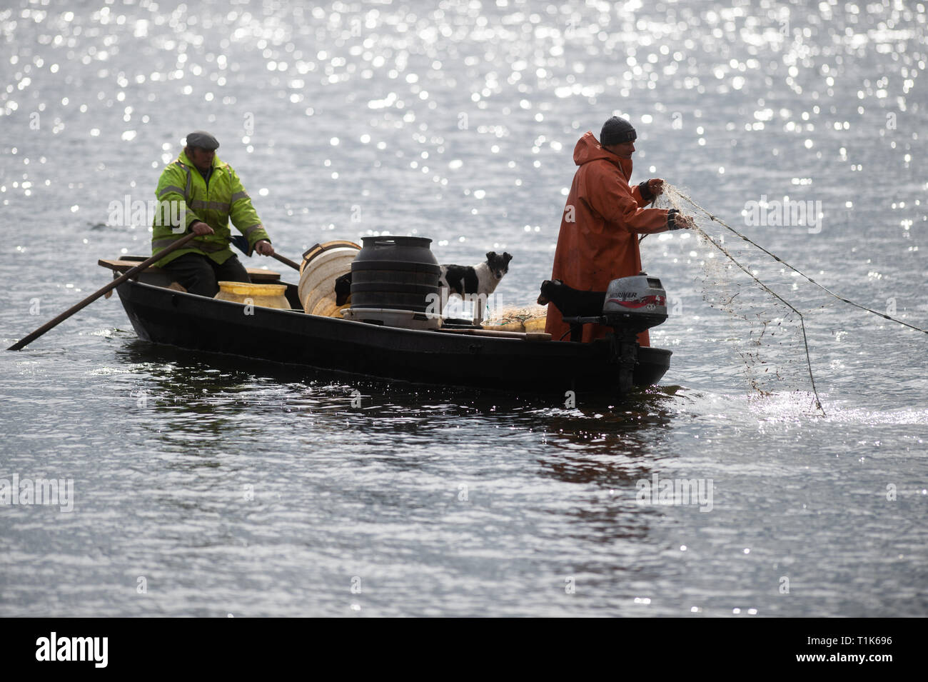 27 mars 2019, la Saxe-Anhalt, Magdeburg : le pêcheur Gernot Quaschny (r) lance son filet sur le lac Barleber. La pêche au grand corégone stock avait été commandé par la capitale de l'état en raison de l'imminence de la lutte contre les algues bleu-vert. Les animaux pêchés seront remis au Club de pêche de Magdebourg, qui va libérer le poisson dans d'autres lacs. Les poissons prédateurs sont d'être libéré de nouveau après la restauration de l'eau. Photo : Klaus-Dietmar Gabbert/dpa-Zentralbild/ZB Banque D'Images