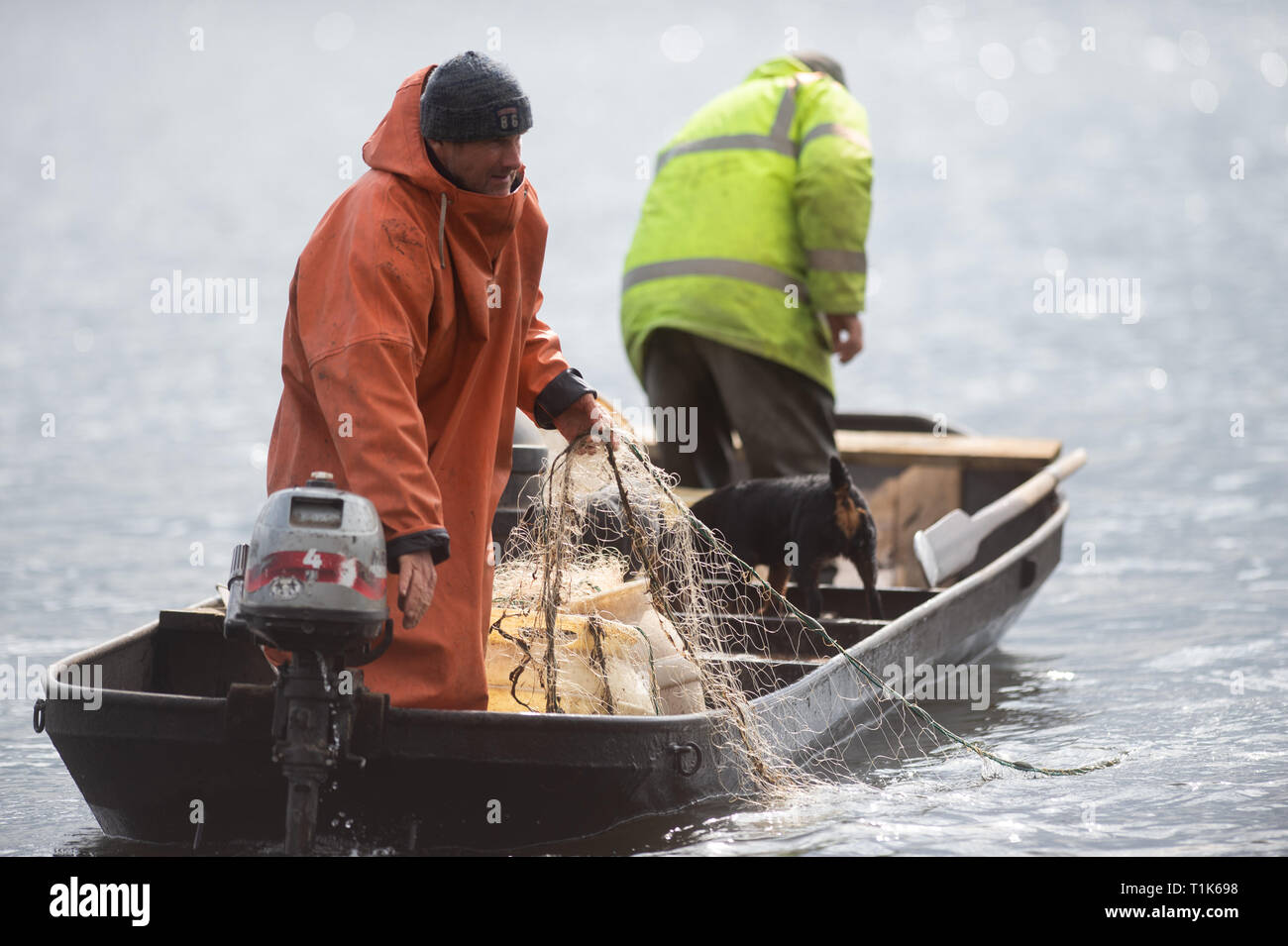 27 mars 2019, la Saxe-Anhalt, Magdeburg : le pêcheur Gernot Quaschny (l) lance son filet sur le lac Barleber. La pêche au grand corégone stock avait été commandé par la capitale de l'état en raison de l'imminence de la lutte contre les algues bleu-vert. Les animaux pêchés seront remis au Club de pêche de Magdebourg, qui va libérer le poisson dans d'autres lacs. Les poissons prédateurs sont d'être libéré de nouveau après la restauration de l'eau. Photo : Klaus-Dietmar Gabbert/dpa-Zentralbild/ZB Banque D'Images