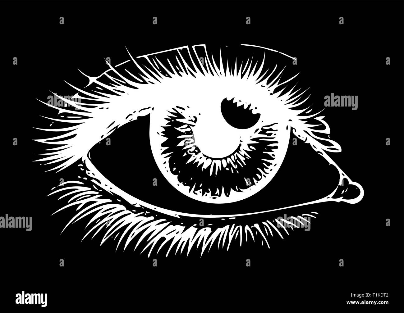 Œil sur fond noir. Yeux art. Woman eye. Le logo de l'œil. L'œil humain, les yeux eye close up - vecteur. Illustration de Vecteur