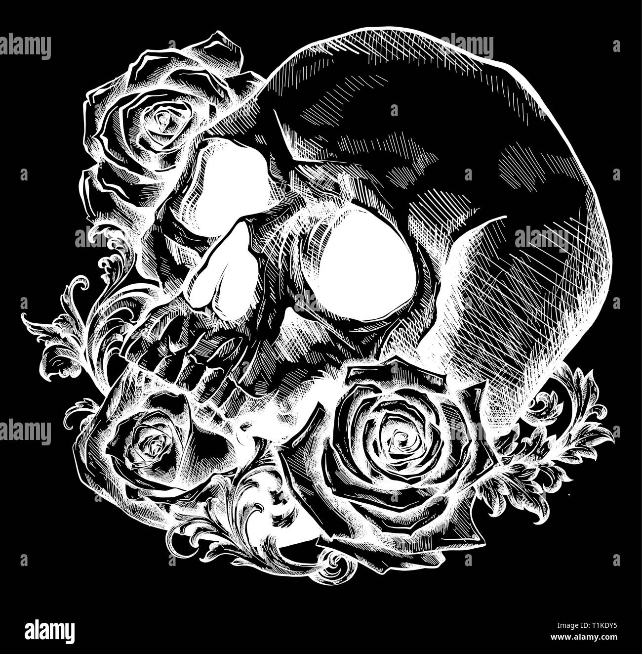Un crâne humain avec des roses sur fond noir Illustration de Vecteur