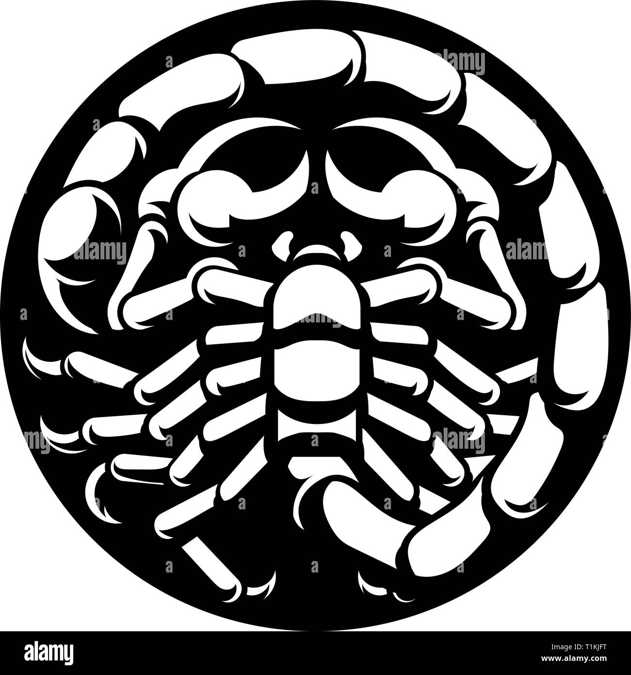 Signes du zodiaque Scorpion Scorpion Illustration de Vecteur