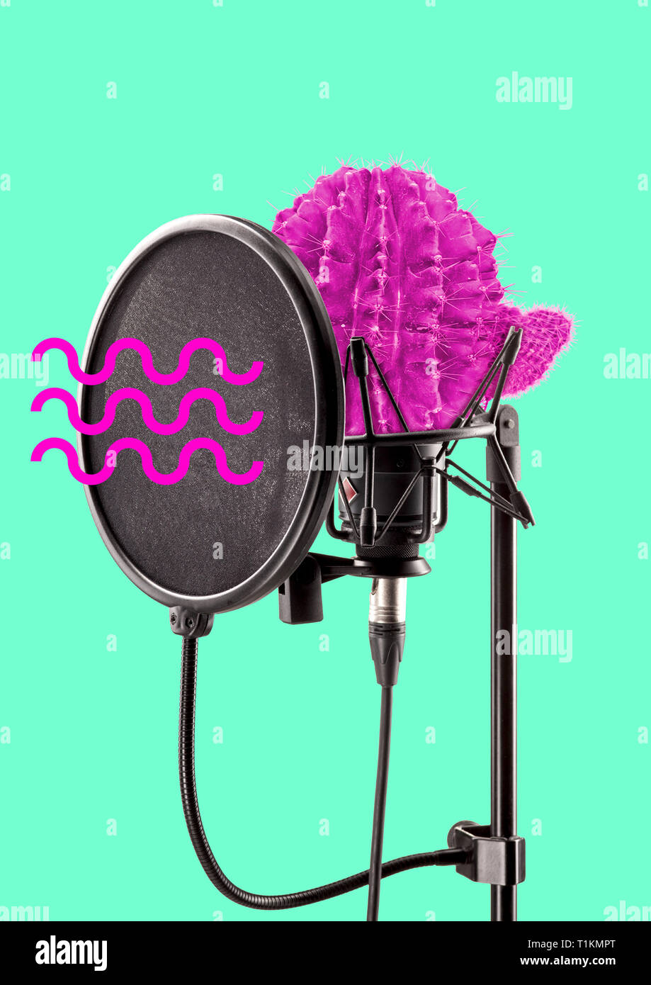 Parler plus fort et différemment, ne soyez pas peur de parler épineux. Cactus Rose comme une soundstudios micro professionnel avec des vagues de voix. Microphone de rechange. Design moderne. Collage de l'art contemporain. Banque D'Images