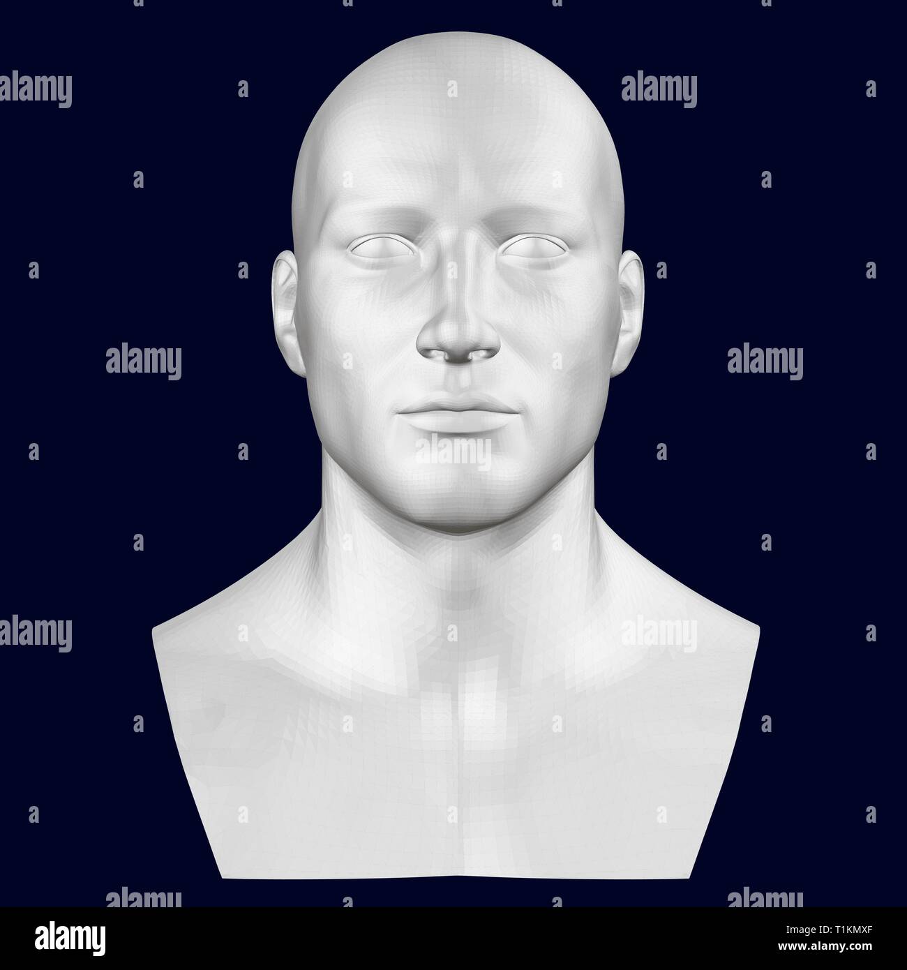 Buste d'homme. Vue de face. 3D Illustration de Vecteur