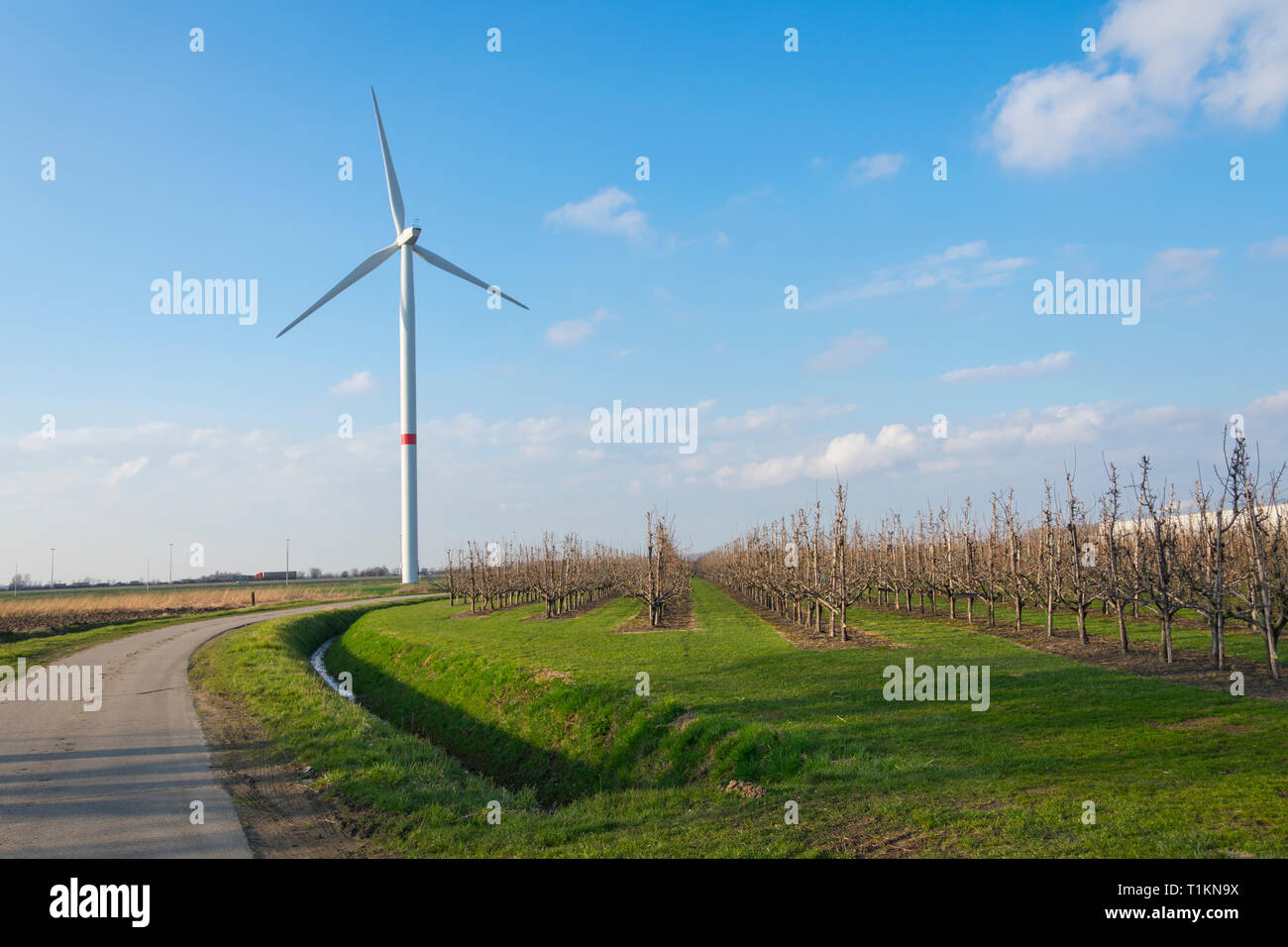 Turbine éolienne à côté d'une route et à côté d'un champ de pommiers Banque D'Images