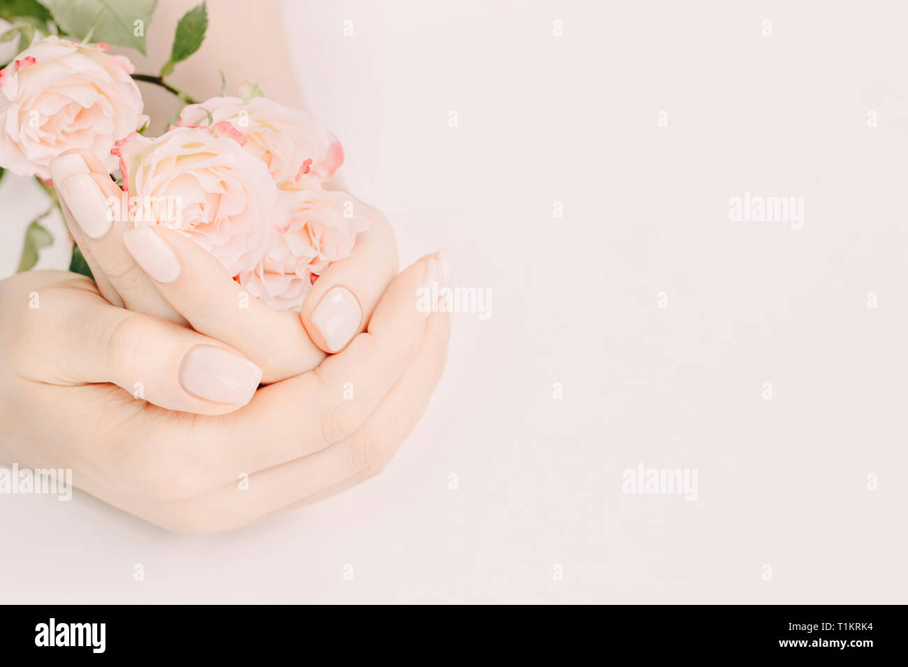 Quartier branché printemps délicat manucure. Femmes avec nail design holding plateau roses sur fond pastel. Copier l'espace. Banque D'Images