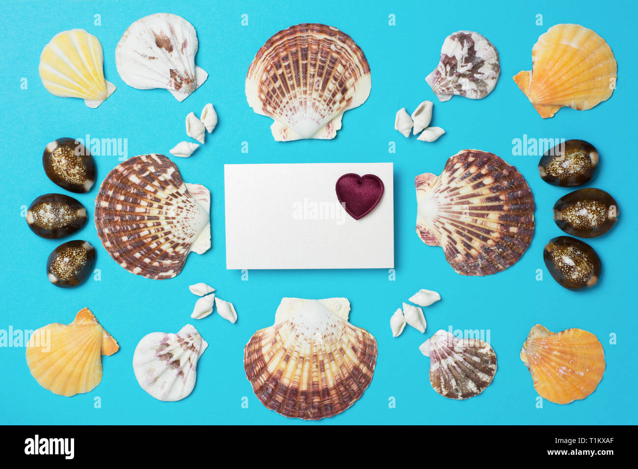 Un motif symétrique avec une collection de coquillages et carte blanche avec bordo coeur au milieu - Fond bleu Banque D'Images