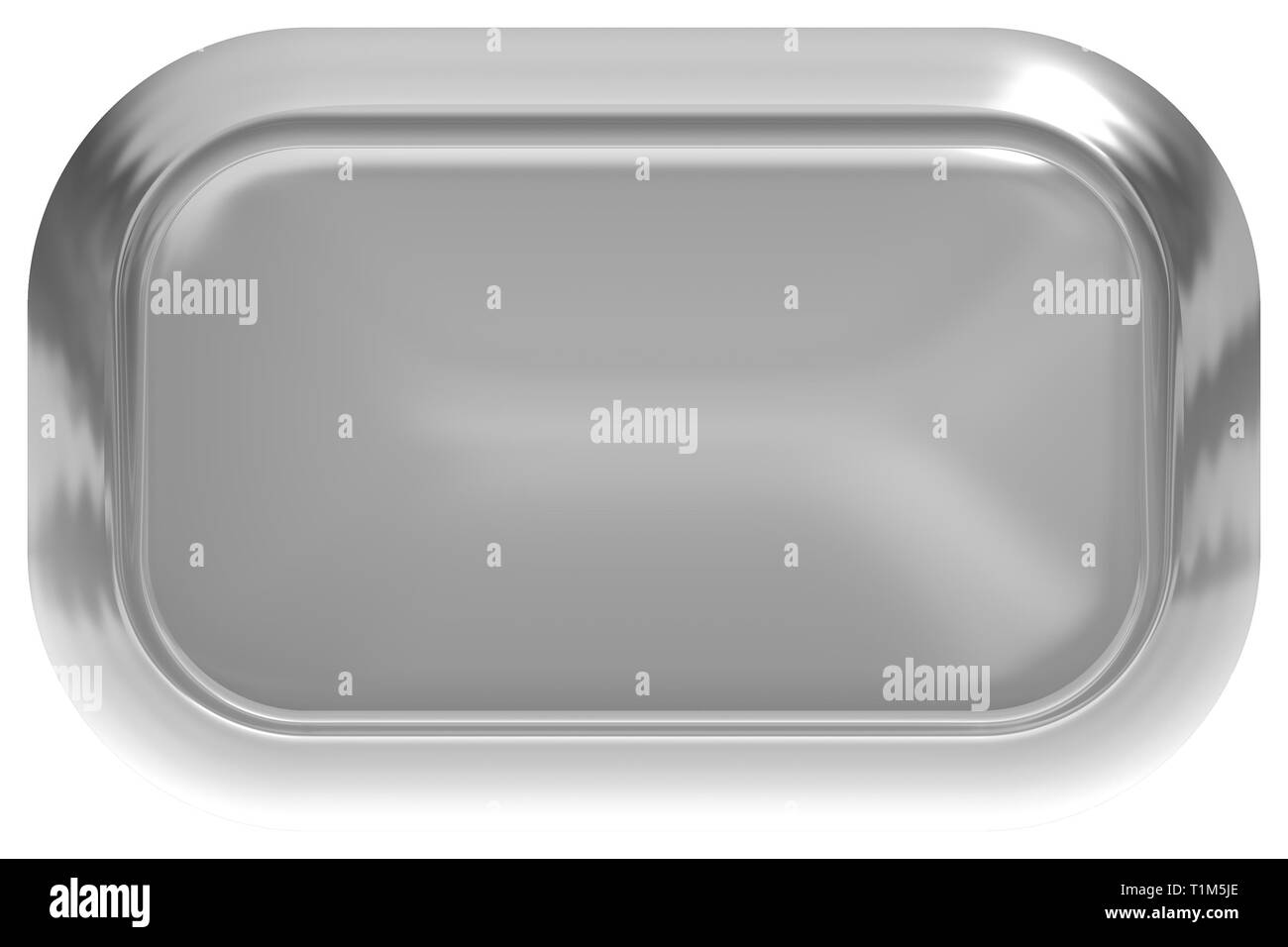 Bouton Web 3d - brillant gris réaliste avec cadre en métal, facile à étendre - 3D Rendering Banque D'Images