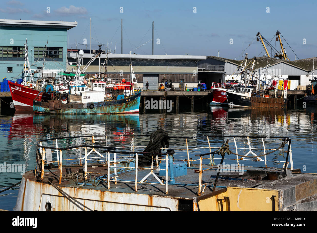 Brixham, Devon, Pêche, Plage, Port, magasin, architecture, des finances et de l'industrie, des prises de poissons, caractéristique côtière, le littoral, Banque D'Images