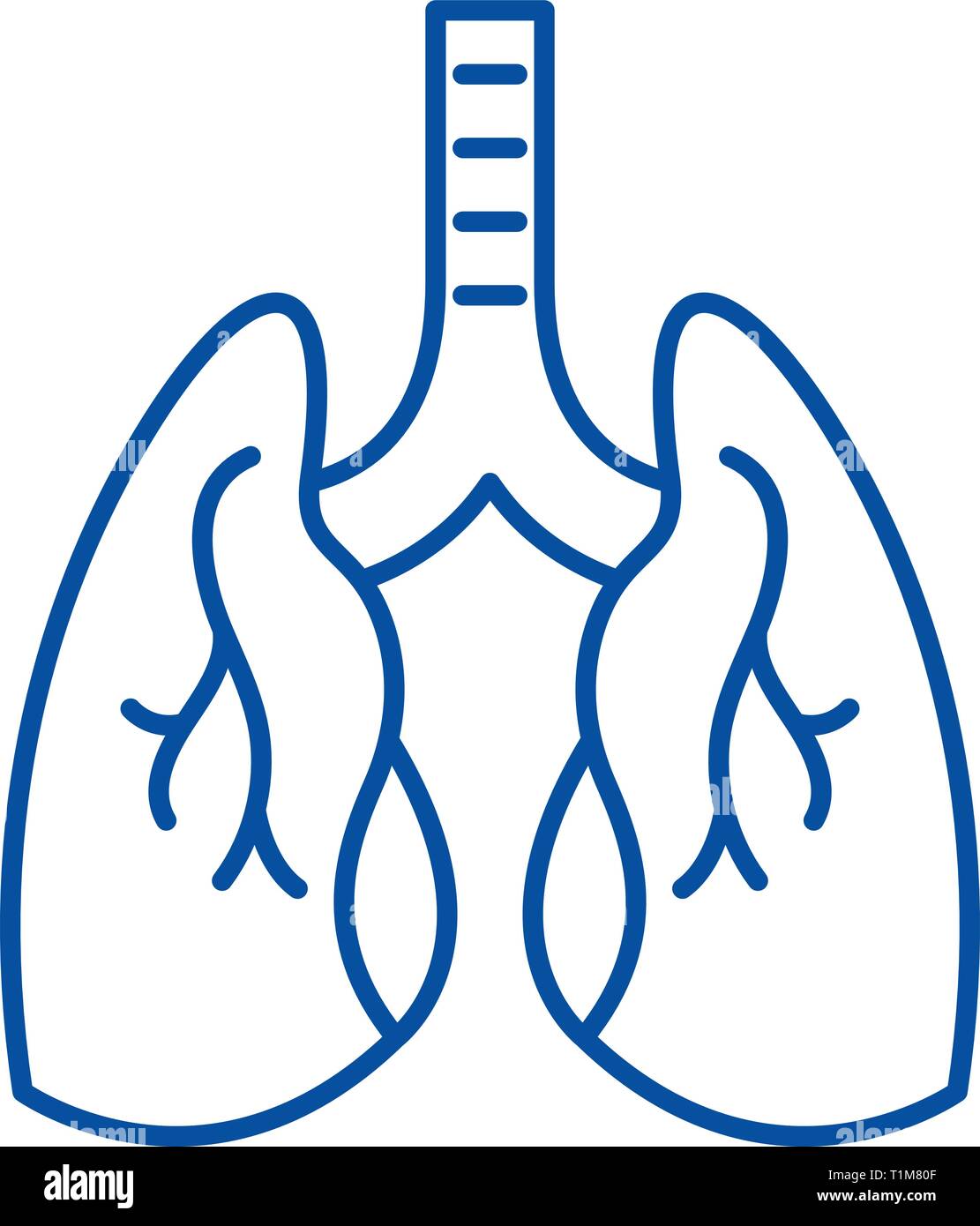 L'icône de la ligne poumons concept. Poumons télévision vector symbole, signe, contours illustration. Illustration de Vecteur