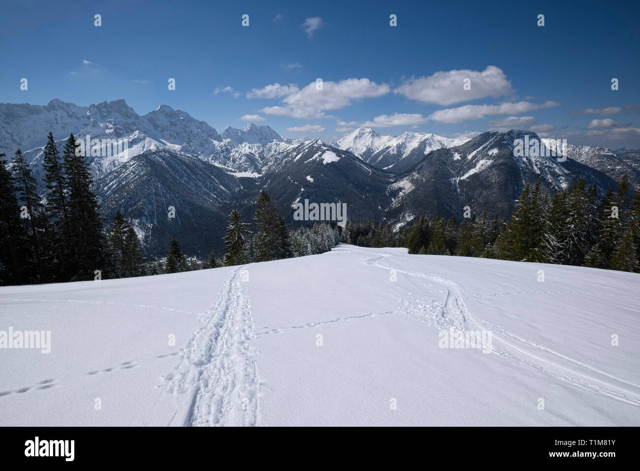Les pistes de ski et de raquette en face d'une grande, le harfang Karwendel, Tyrol, Autriche Banque D'Images
