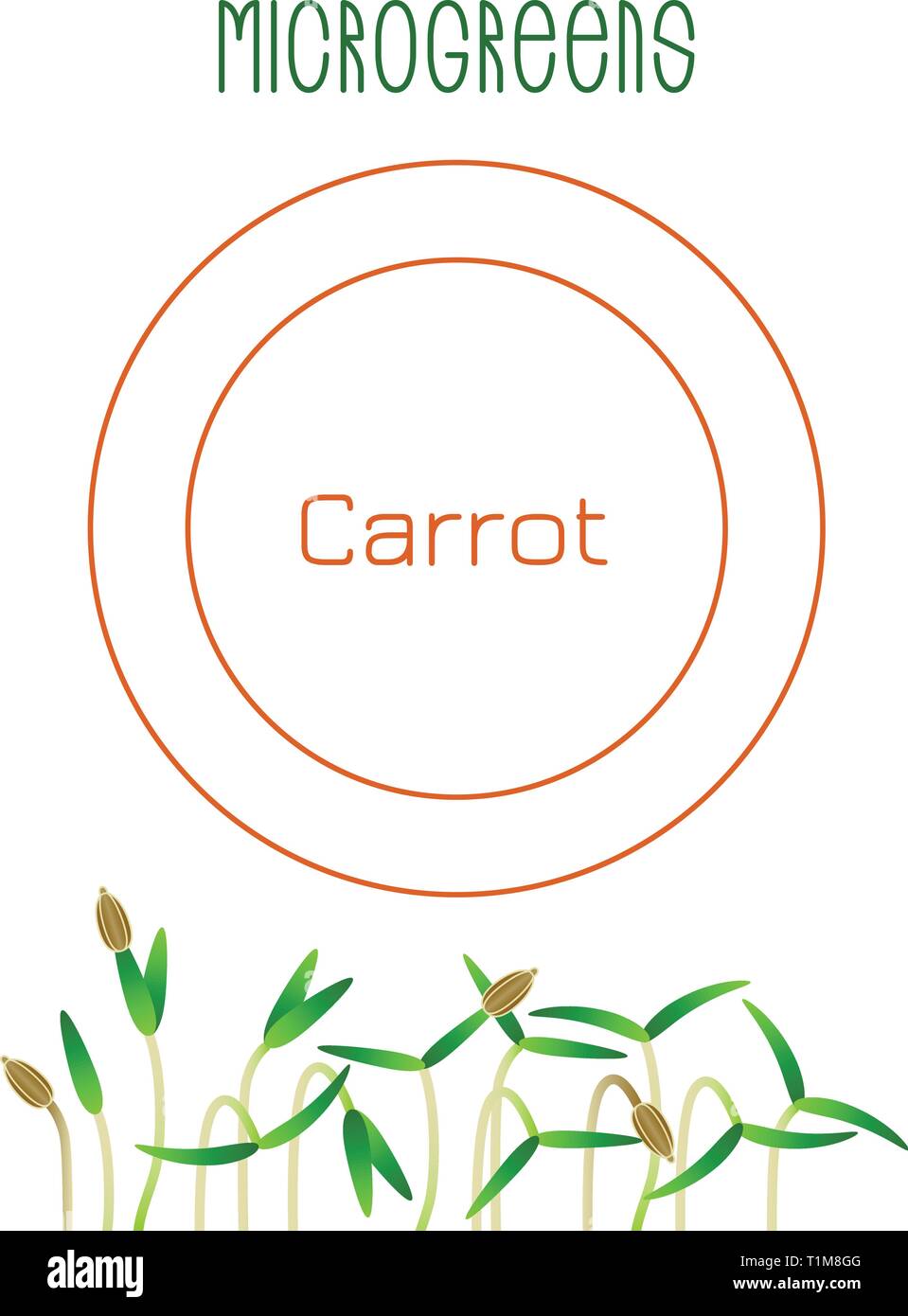 Microgreens carotte. La conception des emballages de semences. Supplément de vitamines, de nourriture vegan Illustration de Vecteur