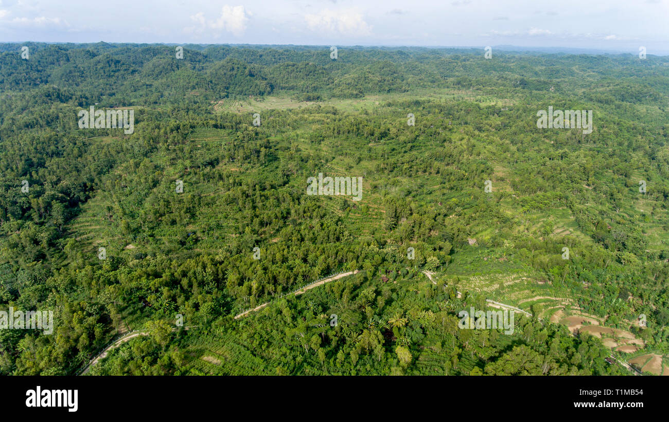 Vue aérienne de Gunung Sewu Geopark, consistaient essentiellement en calcaire. Un géoparc mondial de l'UNESCO Banque D'Images