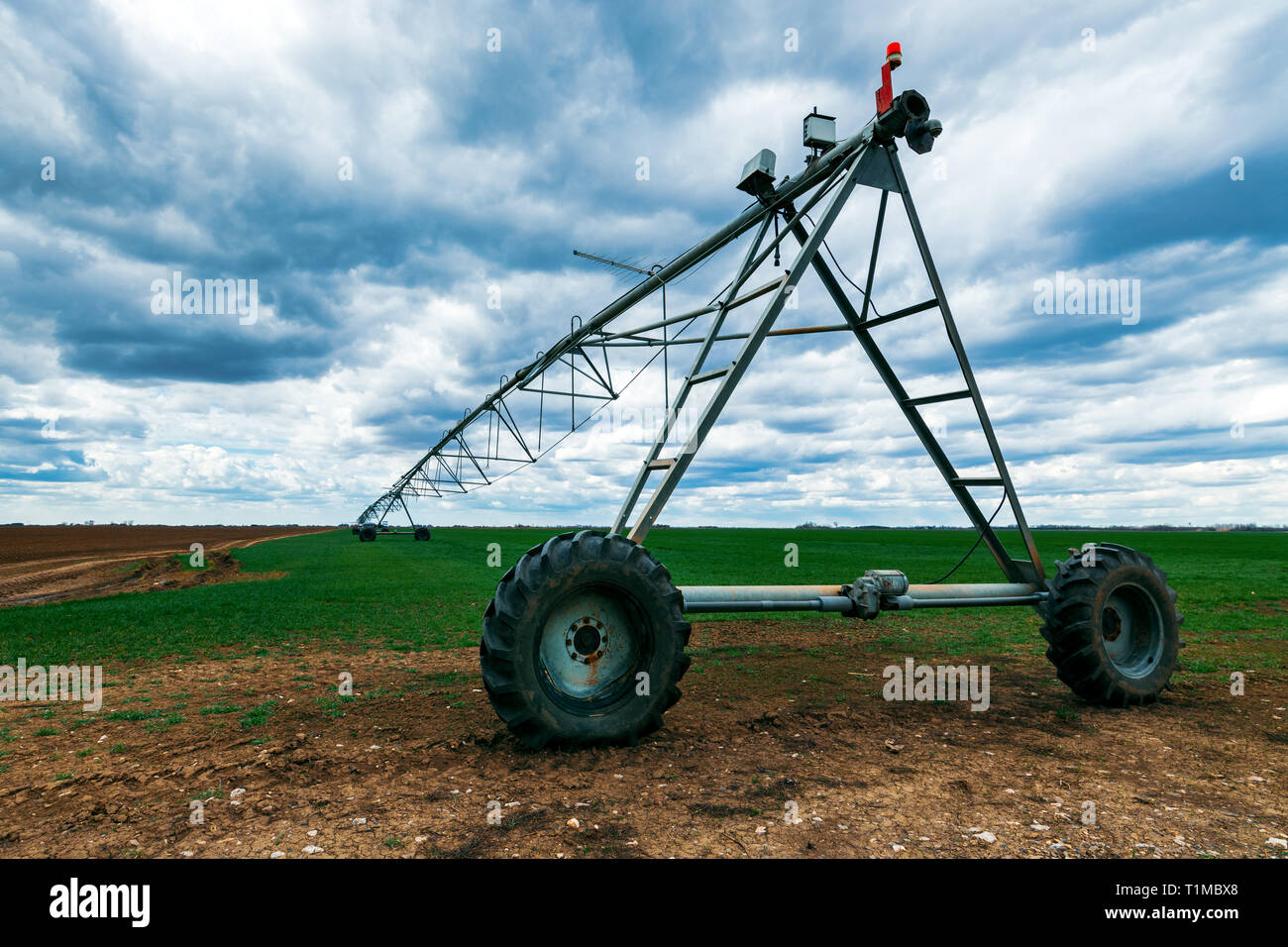 Système d'irrigation à pivot central de la récolte de blé cultivées dans le domaine agricole Banque D'Images