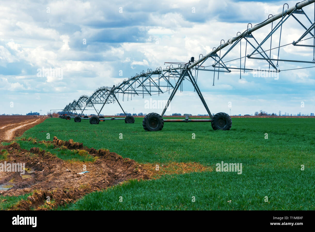 Système d'irrigation à pivot central de la récolte de blé cultivées dans le domaine agricole Banque D'Images