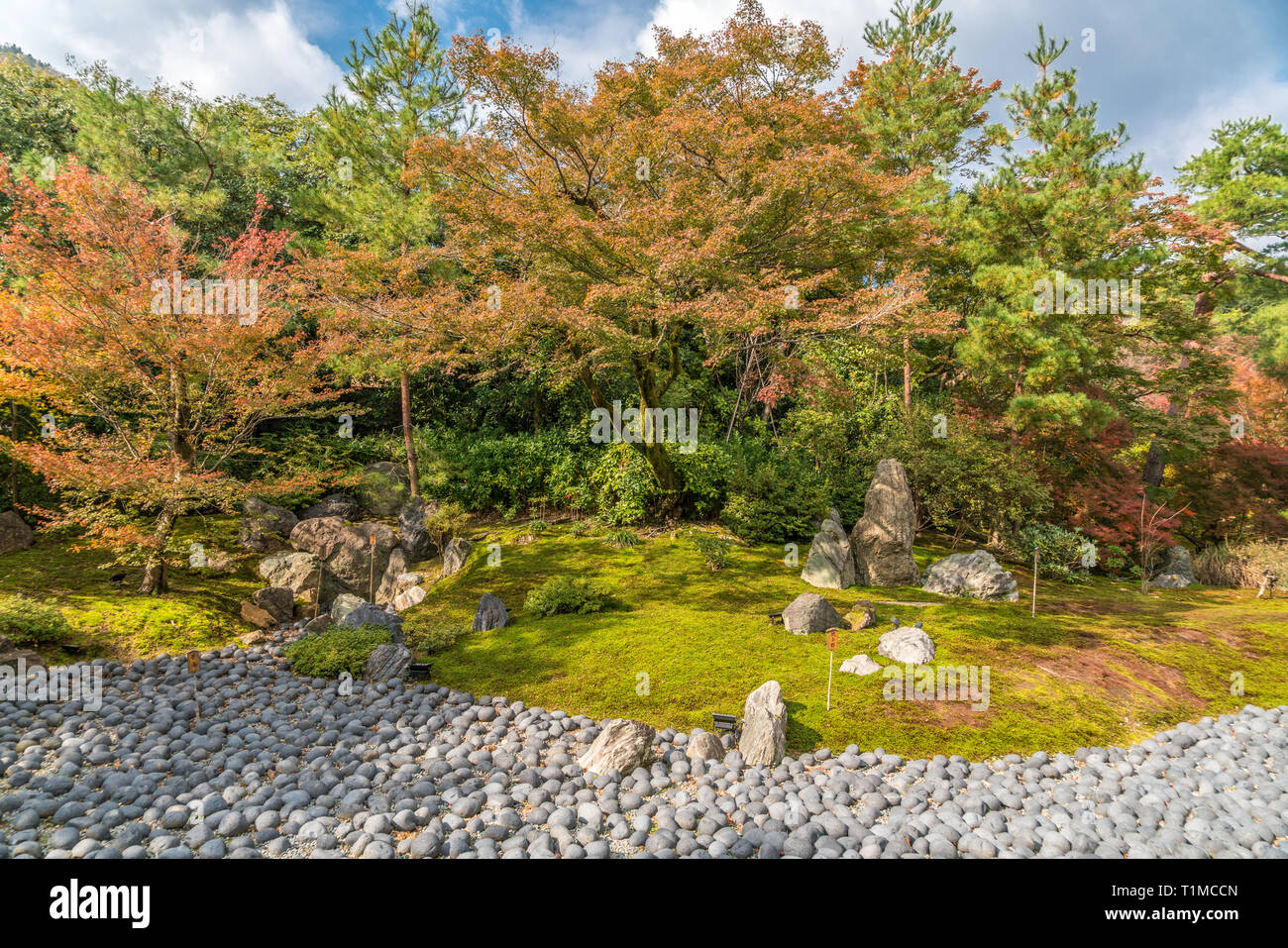 Les feuilles d'automne et à l'automne le feuillage à Hogon-in Karesansui (jardin de pierres). Tenryu-ji temple sous-Arashiyama situé dans, Kyoto, Japon Banque D'Images