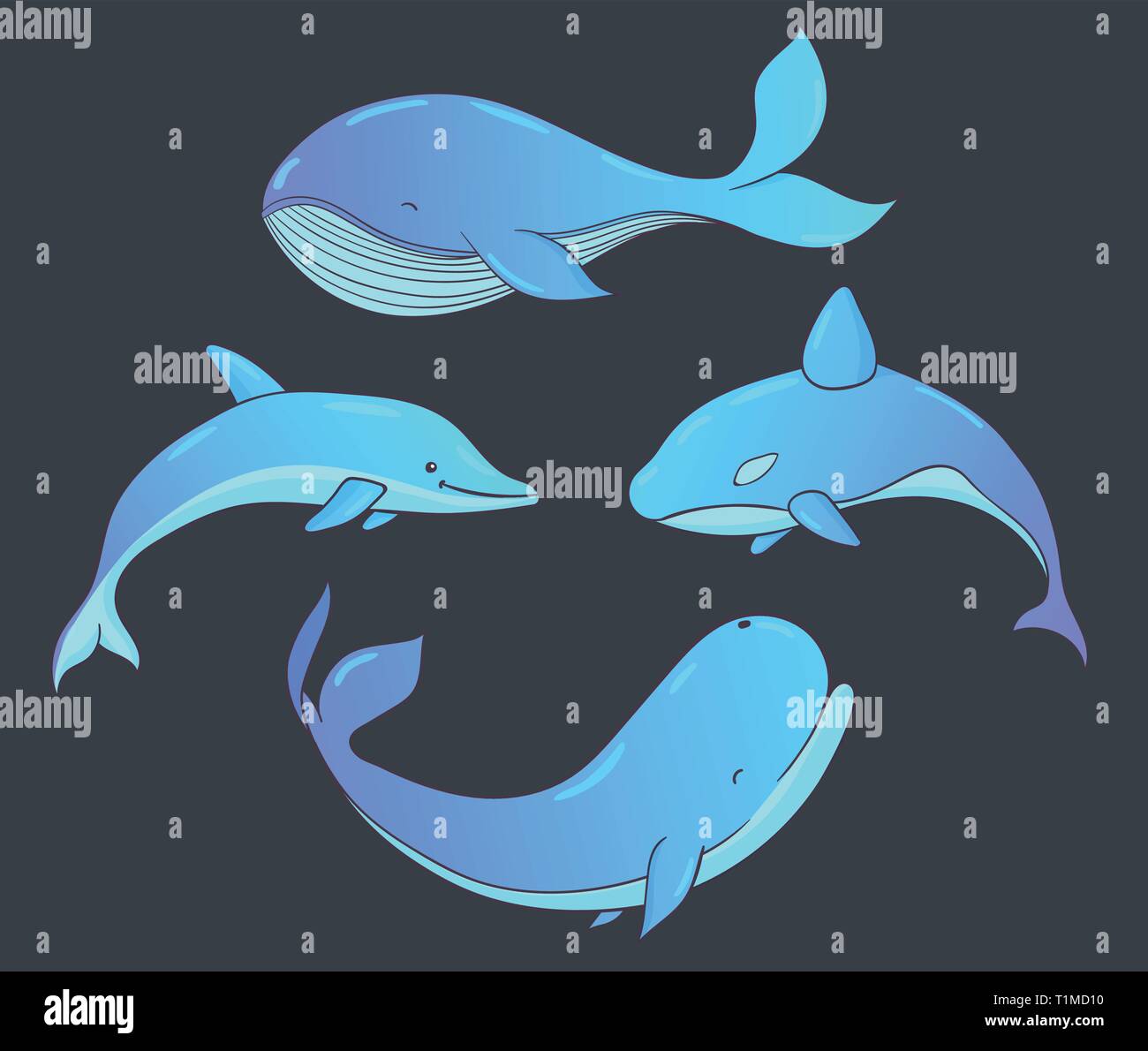 Vecteur de la vie sous-marine avec les baleines et les dauphins. Créatures de mer isolé sur le fond sombre. Illustration de Vecteur