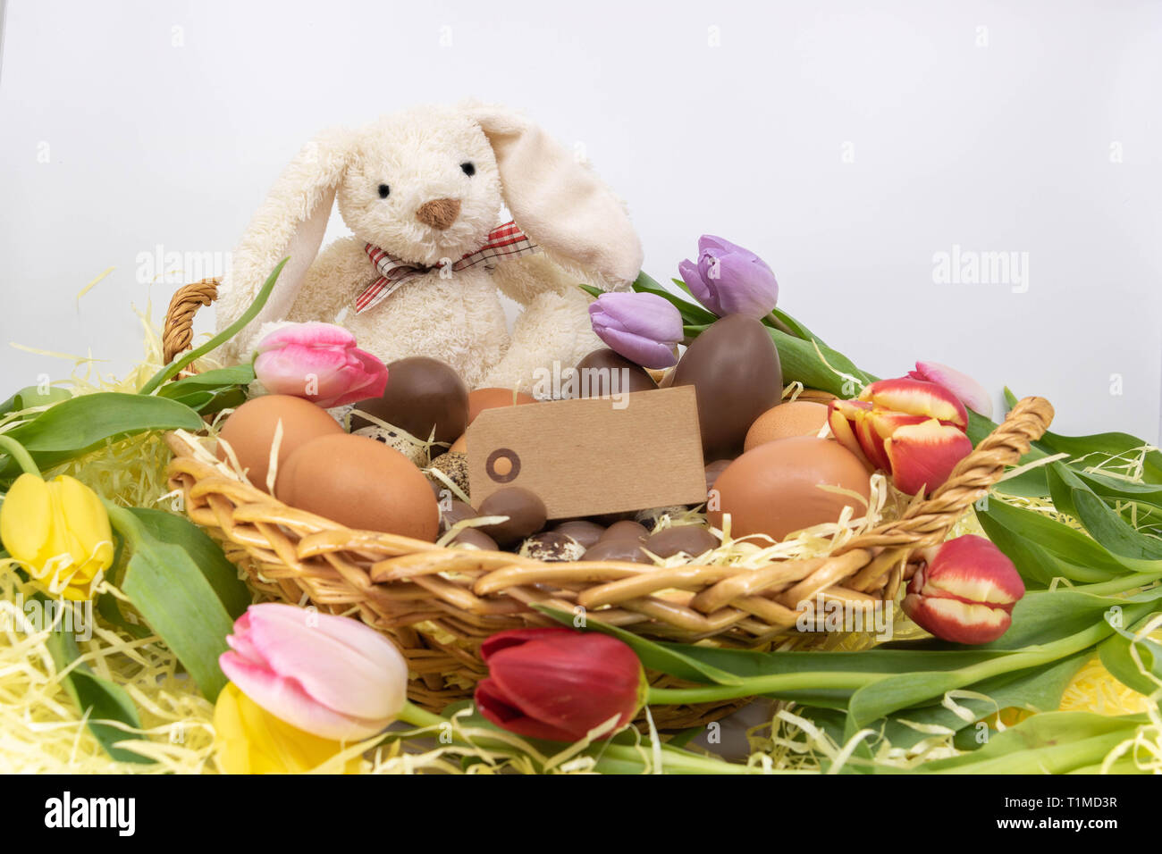 Lapin de Pâques dans un nid avec des tulipes et des œufs de Pâques et de texte Banque D'Images