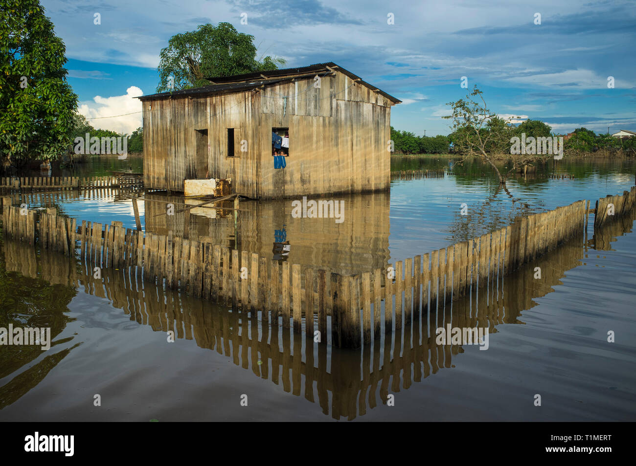 2015 Inondations en Amazonie brésilienne, Taquari, district de la ville de Rio Branco, l'état d'Acre. Les inondations ont touché des milliers de personnes dans l'Etat d'Acre, dans le nord du Brésil, depuis le 23 février 2015, lorsque certaines des rivières de l'état, en particulier l'Acre, la rivière a débordé. De plus fortes précipitations a forcé les niveaux de la rivière plus haut encore, et le 03 mars 2015, le gouvernement fédéral du Brésil a déclaré l'état d'urgence dans l'état d'Acre, où les conditions d'inondations situation a été décrite comme la pire en 132 ans. Une des zones les plus touchées est la capitale de l'état, Rio Branco, où le niveau de la rivière Acre accédons Banque D'Images