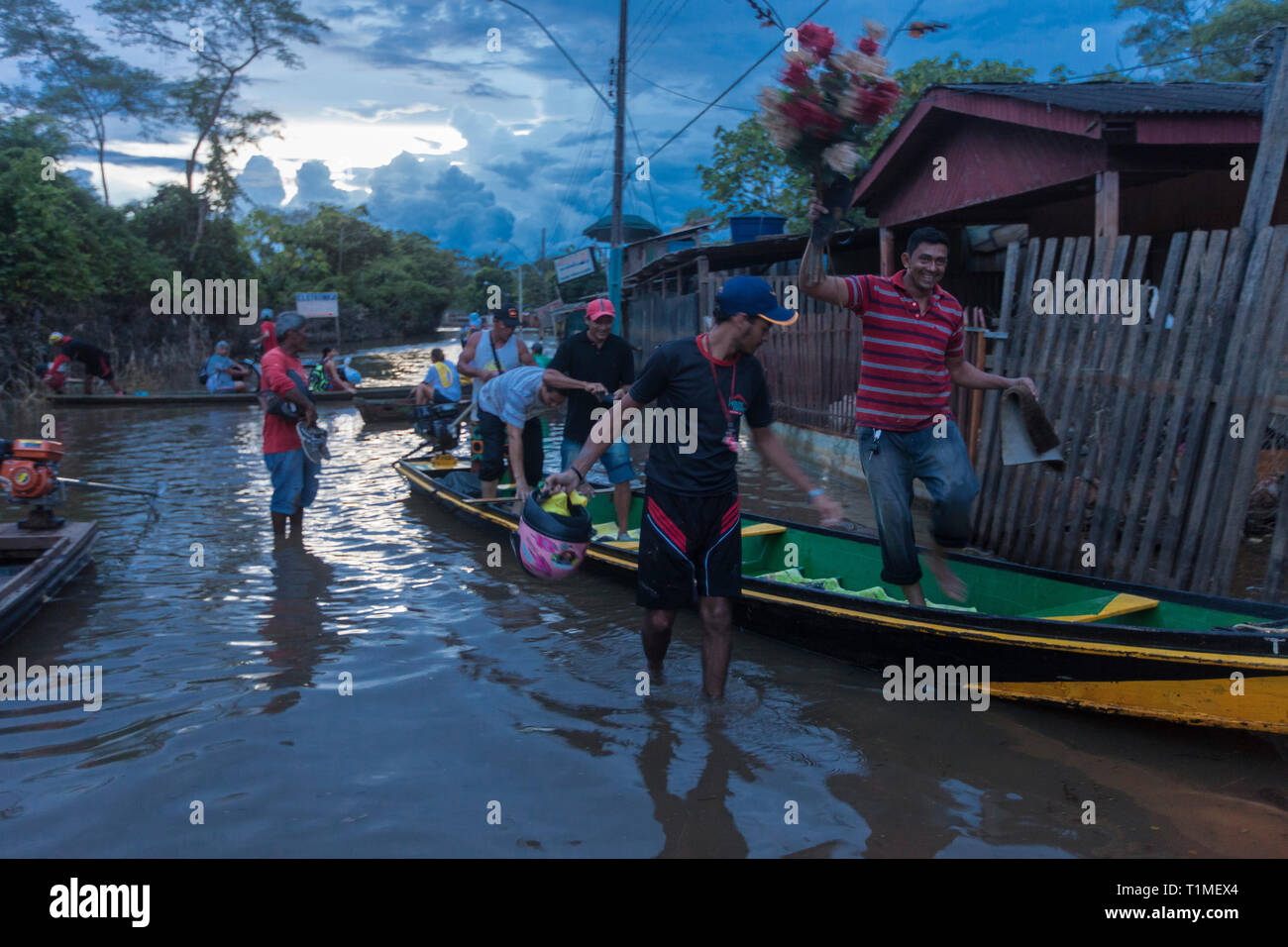 2015 Inondations en Amazonie brésilienne, vie quotidienne normale, l'homme transporte fleur en canoe à Taquari, district de la ville de Rio Branco, l'état d'Acre. Les inondations ont touché des milliers de personnes dans l'Etat d'Acre, dans le nord du Brésil, depuis le 23 février 2015, lorsque certaines des rivières de l'état, en particulier l'Acre, la rivière a débordé. De plus fortes précipitations a forcé les niveaux de la rivière plus haut encore, et le 03 mars 2015, le gouvernement fédéral du Brésil a déclaré l'état d'urgence dans l'état d'Acre, où les conditions d'inondations situation a été décrite comme la pire en 132 ans Banque D'Images