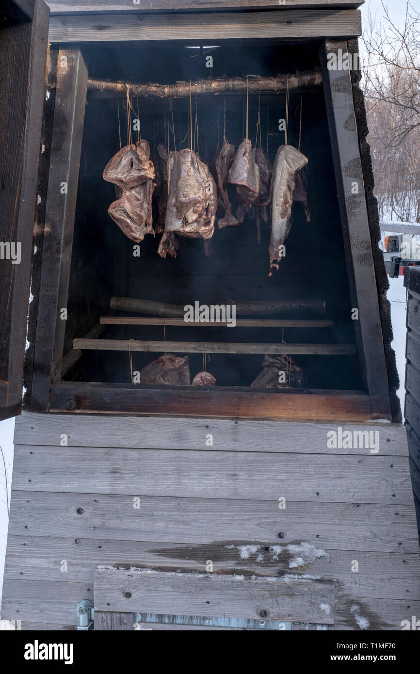 La tradition de la viande de renne suédois fumeur avec pendaison Banque D'Images