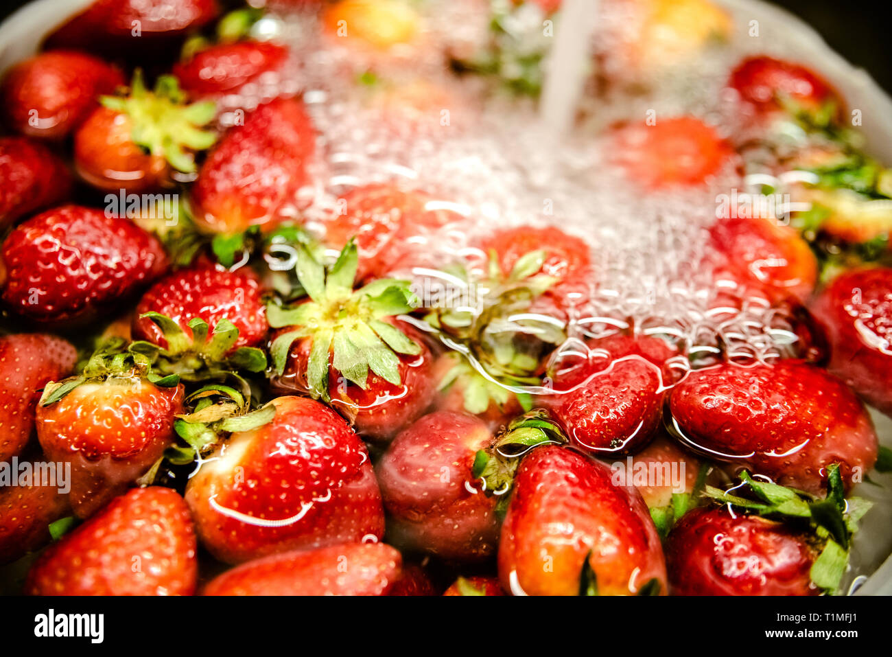 Les fraises dans un bol avec de l'eau, lavé pour éliminer les toxines et les impuretés avant de manger. Banque D'Images