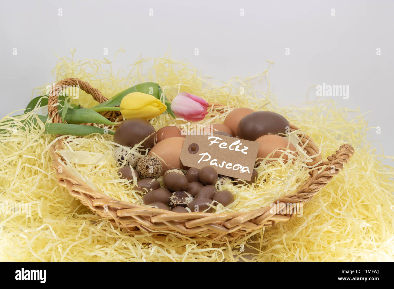 Feliz pascoa Joyeuses Pâques est écrit en portugais sur une étiquette pour des ressources graphiques sur le thème de Pâques et l'arrivée du printemps Banque D'Images