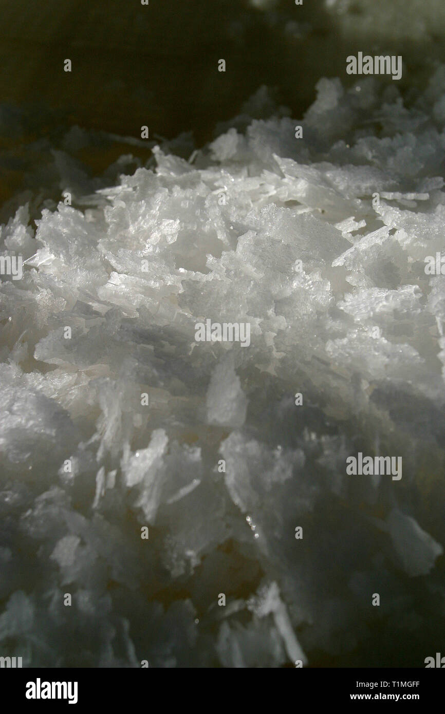 Sel fraîchement récolté à partir de l'un des salines utilisées pour la collecte d'eau de mer à l''Anglesey Sea Salt Company à Brynsiencyn. L'eau qui contient 3  % de sel, mais une fois qu'il est distillé et chauffée ce s'élève à environ 15  %. Les travailleurs de la pelle des gisements de sel dans les bacs avant le lavage et le séchage. C'est dans les eaux de l'Atlantique qui entourent l'île que l''Anglesey Sea Salt Company draine l'eau de mer pour rendre ses produits au sel de mer. Banque D'Images