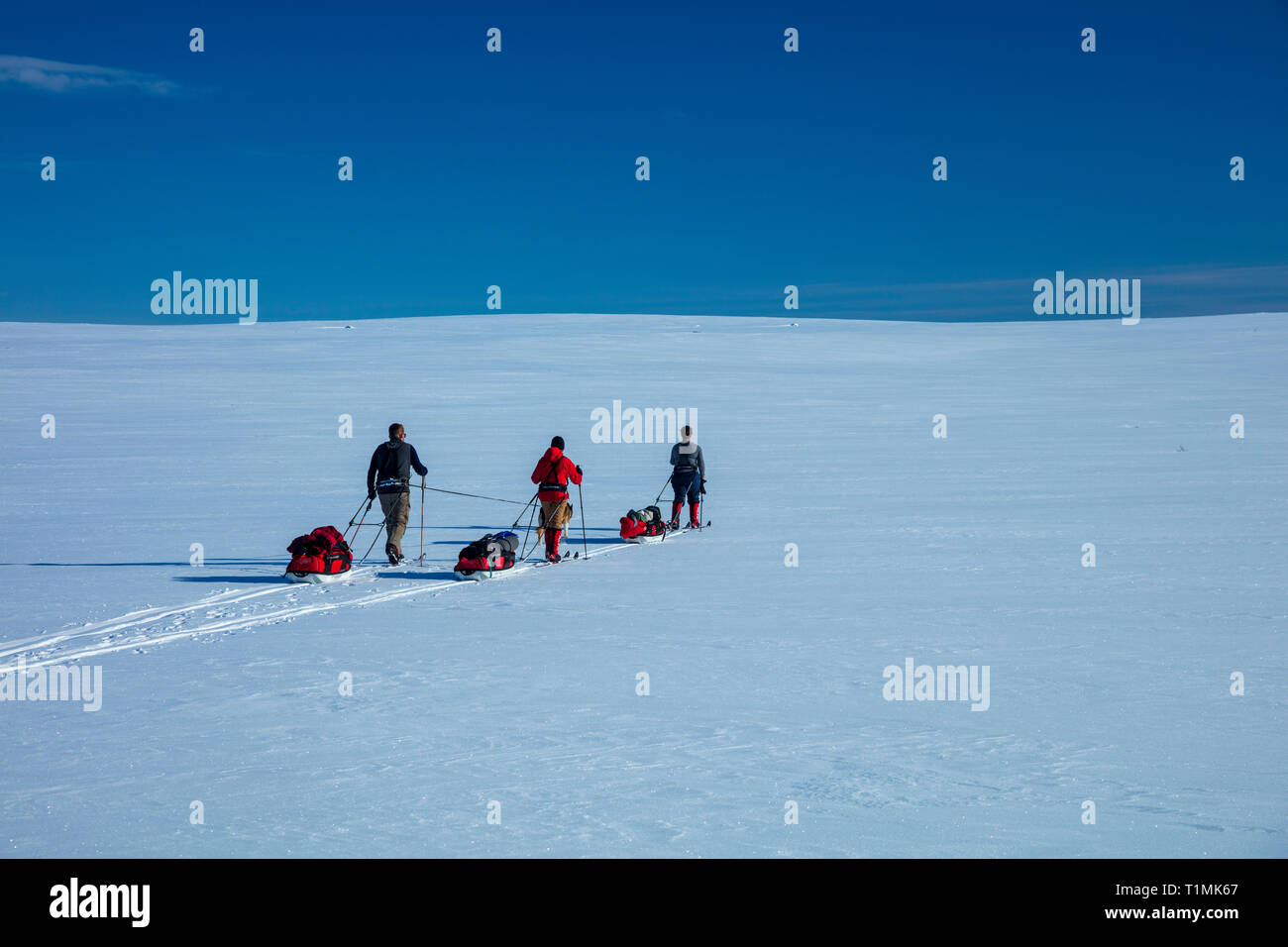 Cross Country Ski de randonnée traversant le Plateau du Finnmarksvidda groupe. Le Finnmark, Norvège. Banque D'Images
