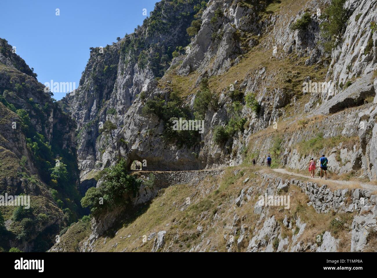 Les randonneurs sur les gorges de Cares trail, avec un peu de passer par un tunnel de roche excavée, Picos de Europa mountains, Asturias, Espagne, août 2016. Banque D'Images