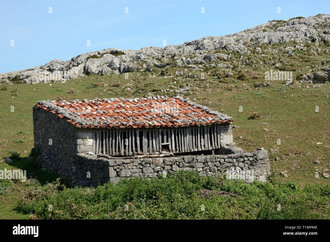 L'élevage traditionnel en pierre, grange, ou 'majada', Majada de las Bobias, Picos de Europa, Covadonga, dans les Asturies, en Espagne, en août. Banque D'Images