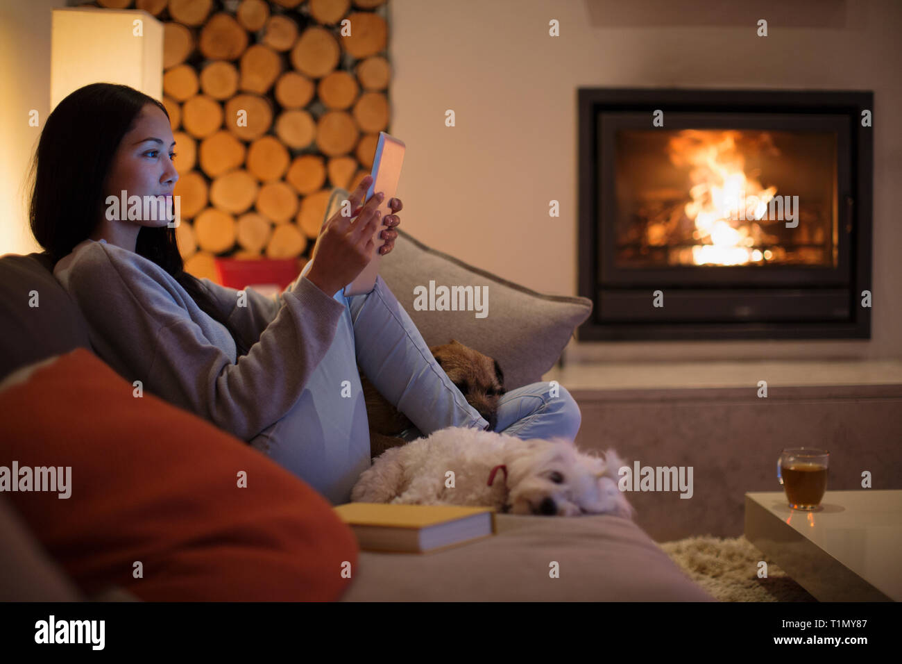 Jeune femme avec des chiens à l'aide de tablette numérique sur salon canapé Banque D'Images