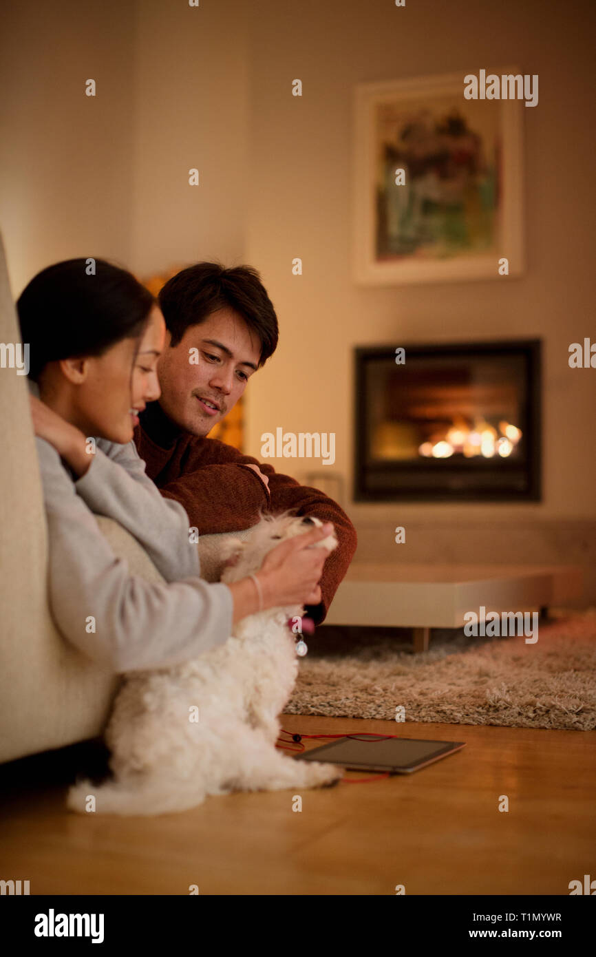 Couple petting dog in living room Banque D'Images