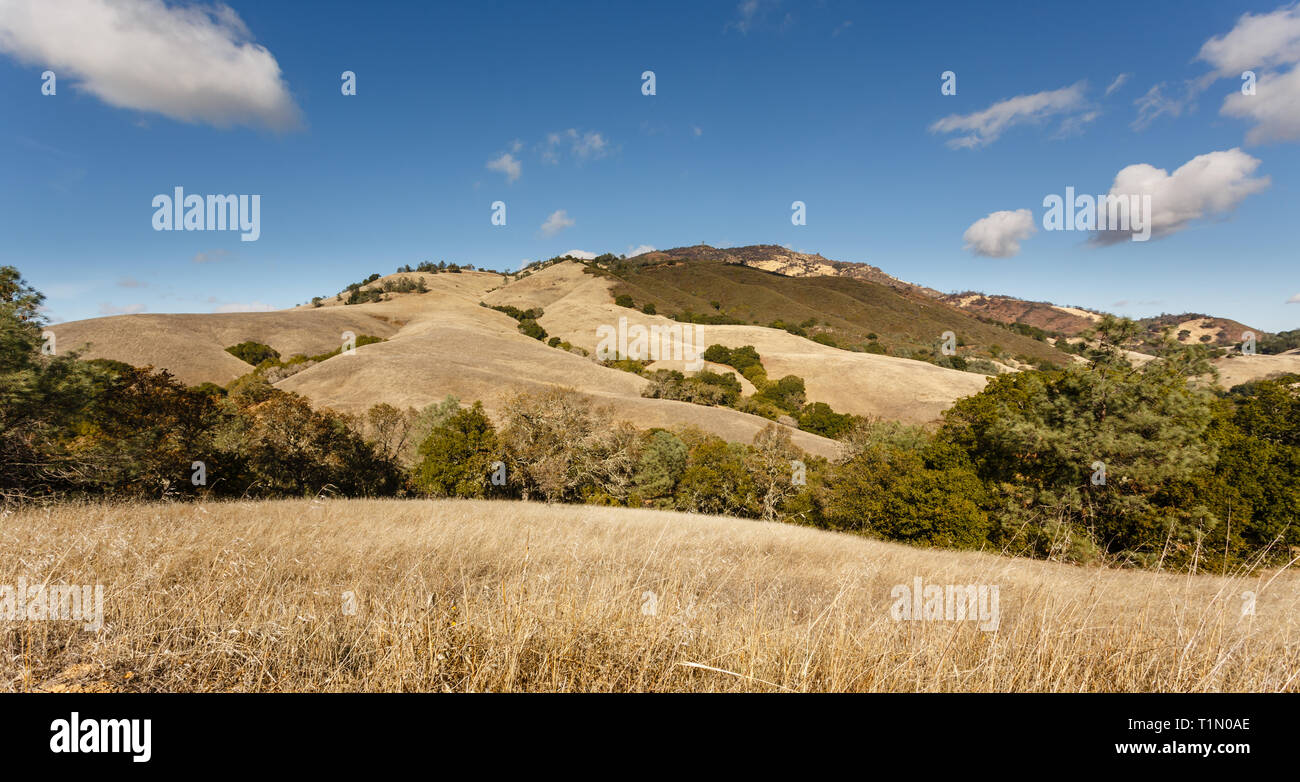 Belles collines du comté de Marin sur une journée ensoleillée Banque D'Images