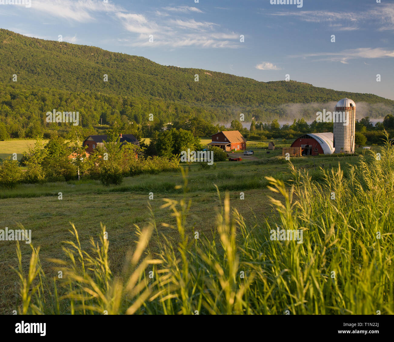 Elmore, Lamoille Comté, Vermont, Etats-Unis Banque D'Images