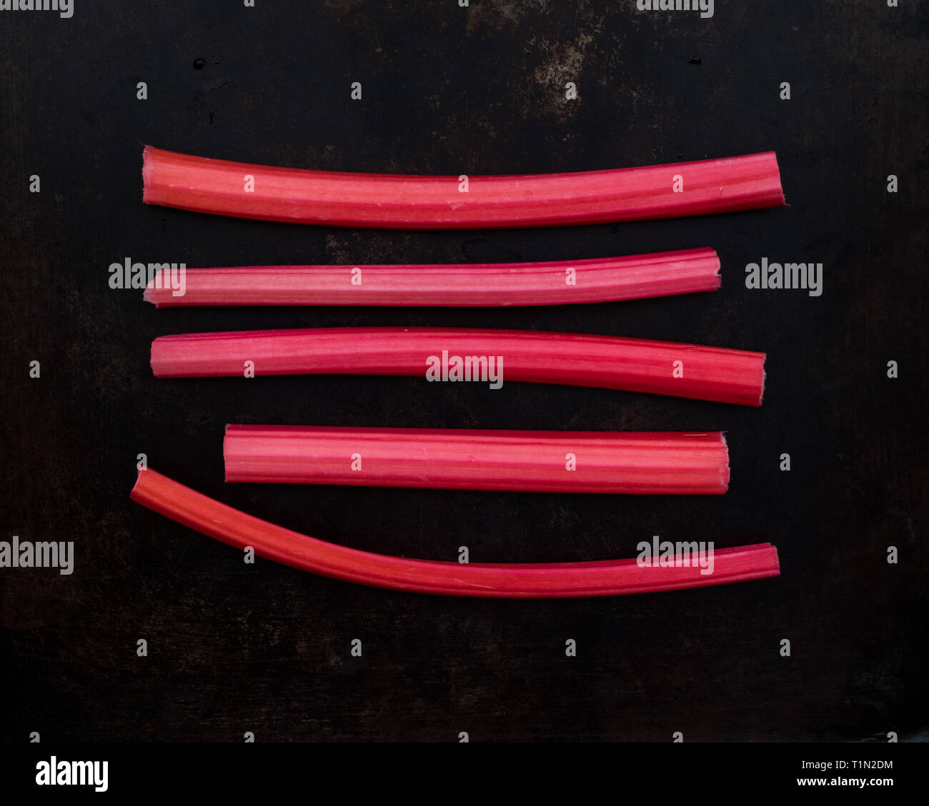 Les tiges de rhubarbe rose forcé sur fond sombre Banque D'Images