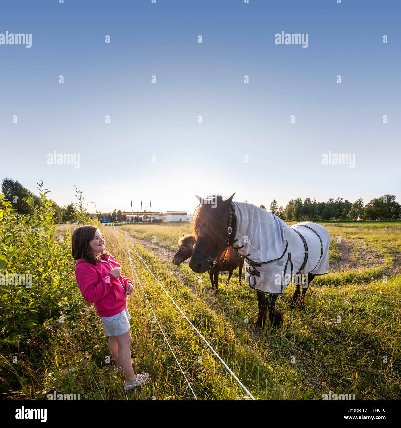 Fille et un cheval. / Dalarna, Suède, Scandinavie Dalecarlia. Banque D'Images