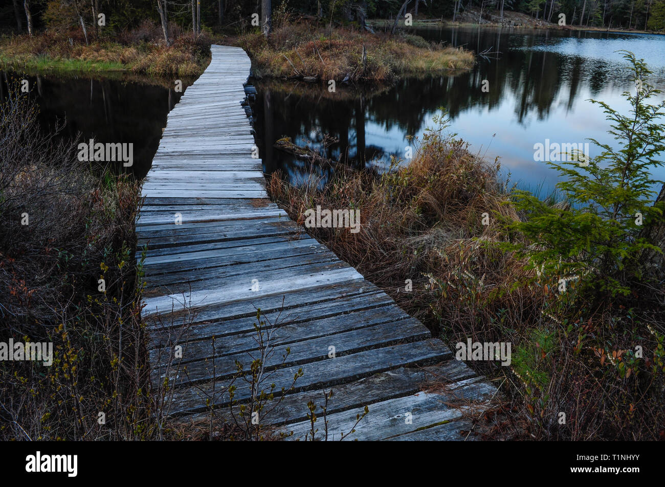 Pont de bois sur l'étang de rock dans la région sauvage du lac de Pharoah dans l'Adirondack State Park dans l'État de New York Banque D'Images